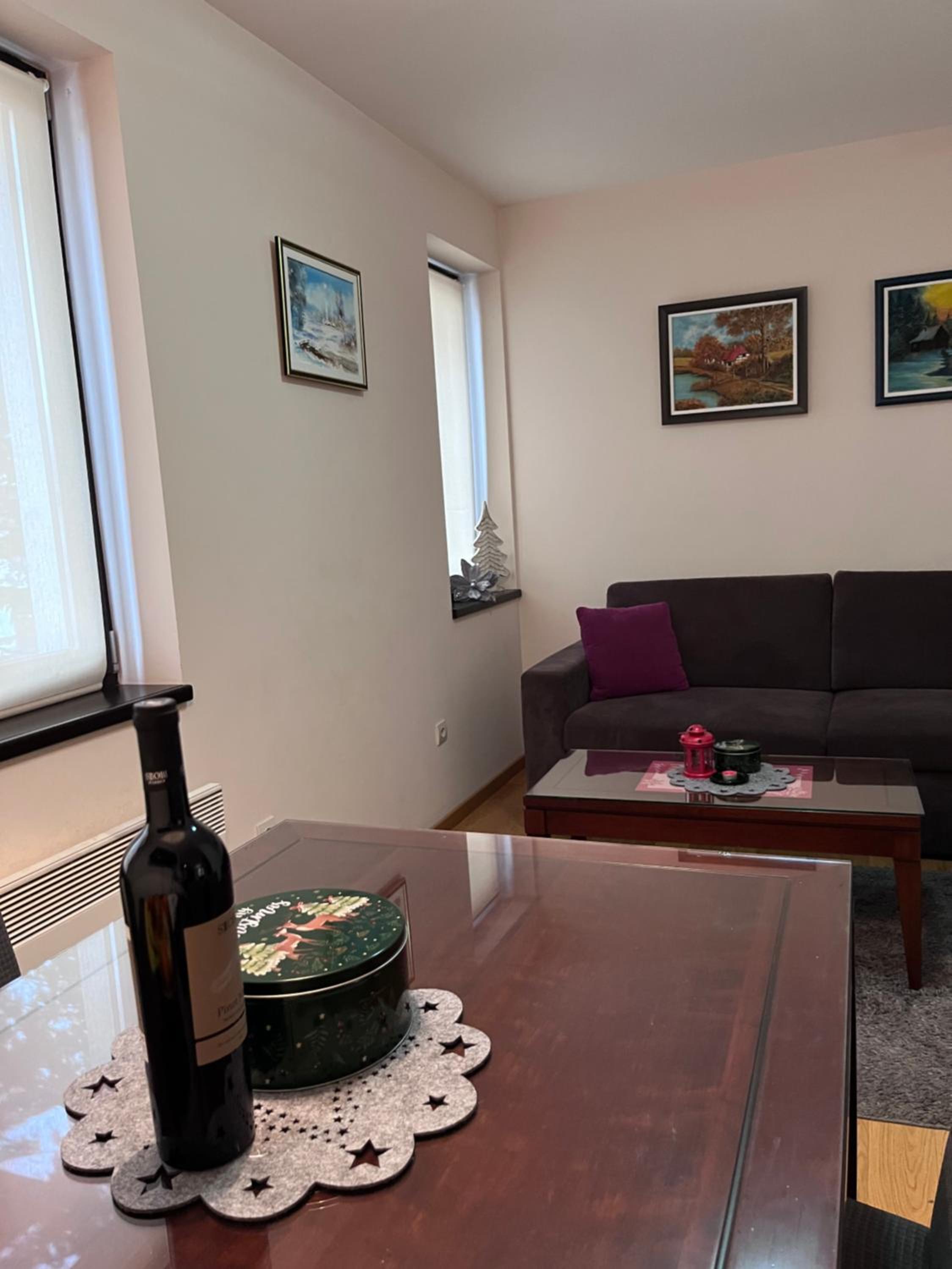 Vila Mećava Apartman Iskra view 2