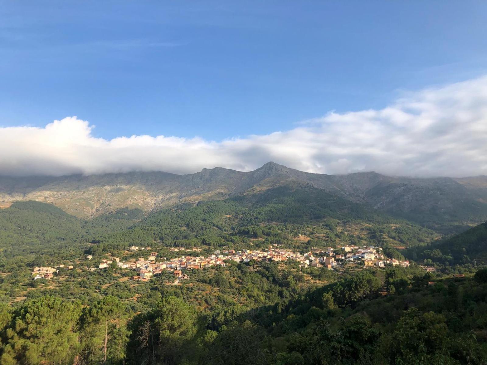La Salamandra