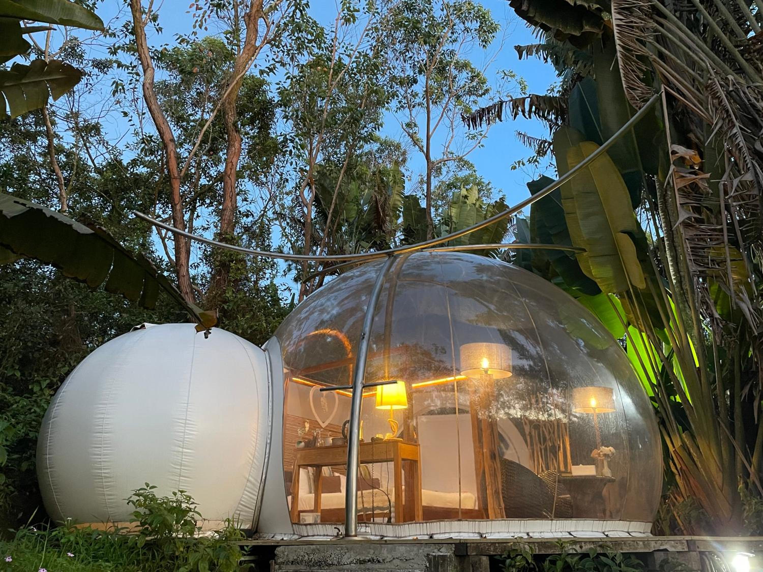 Bubble Lodge Bois Chéri Plantation