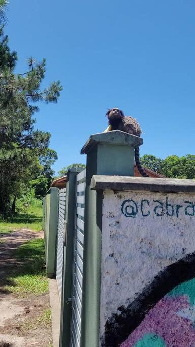 Chalé Charmoso! A 500 m do acesso Praia Moçambique Lagoa da Conceição