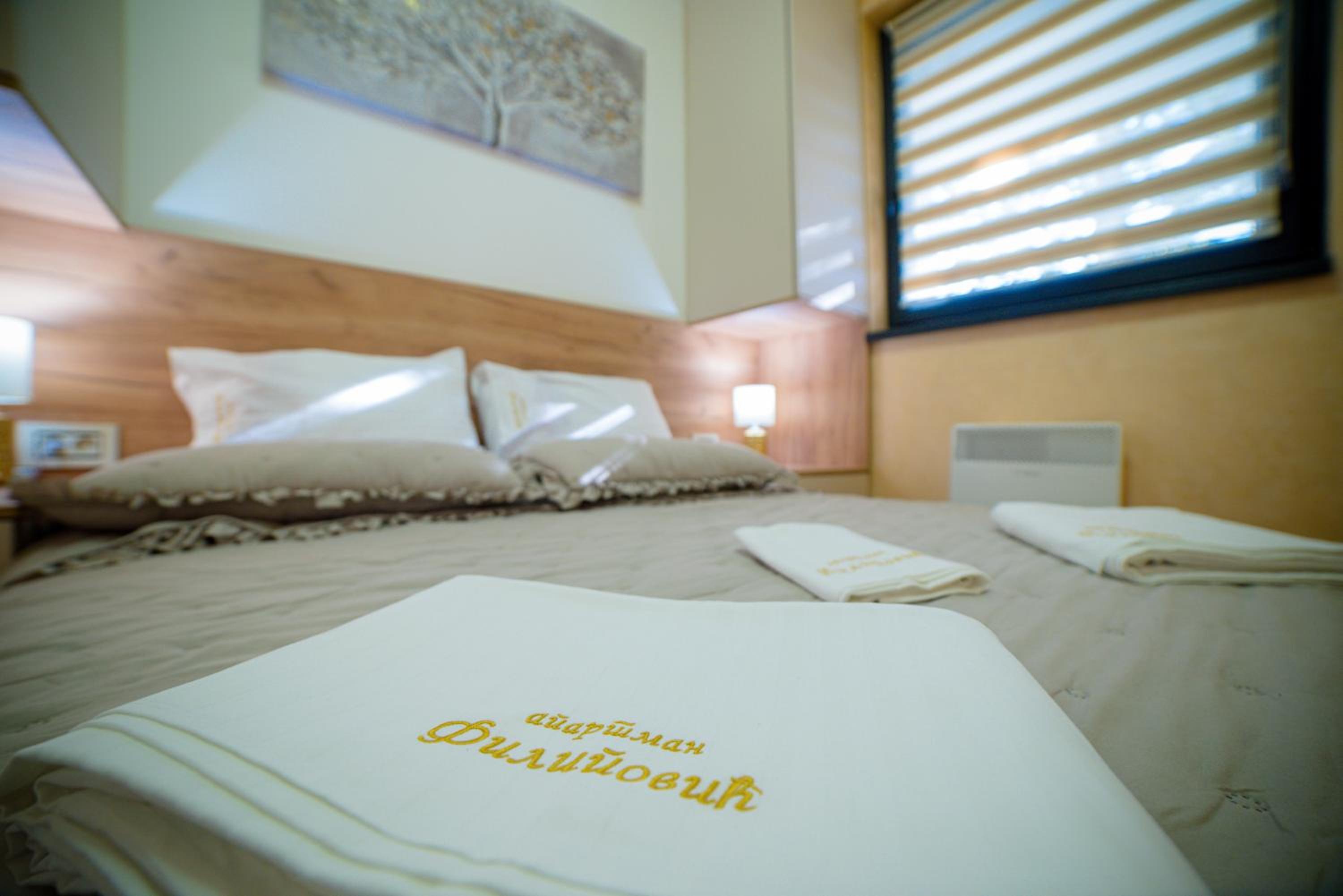 apartman Filipović 2 view 5