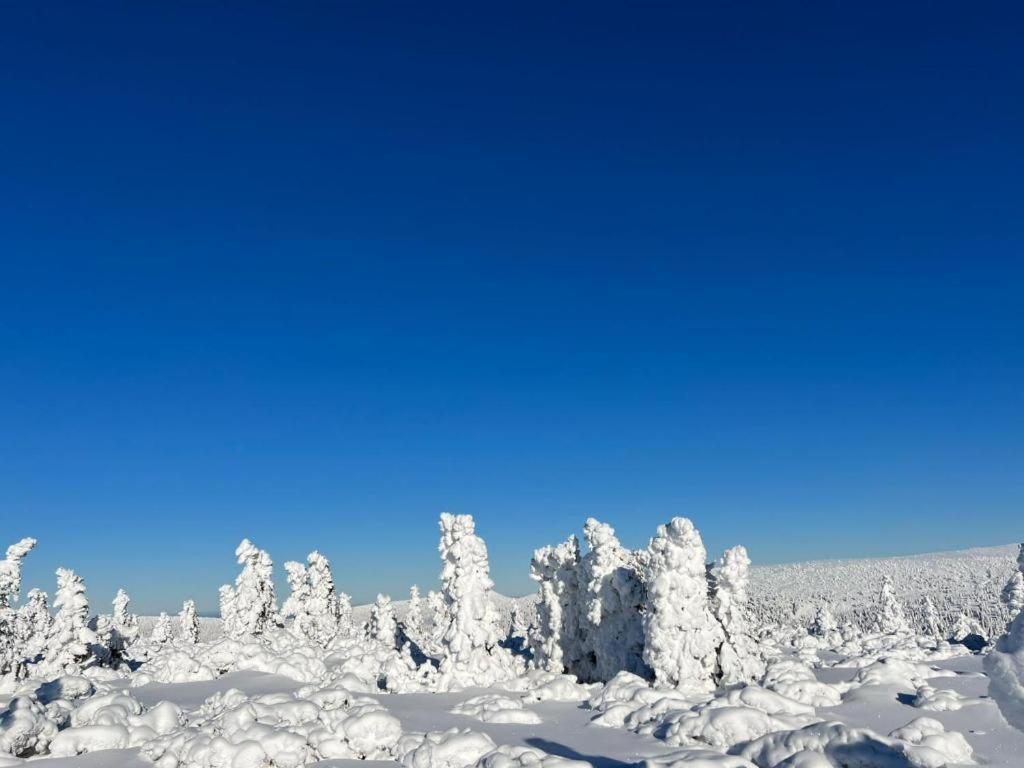 Krakonošovo