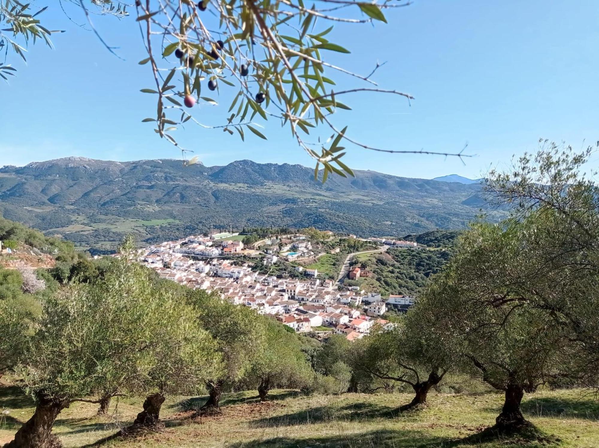 Apartamento Valle del Guadiaro