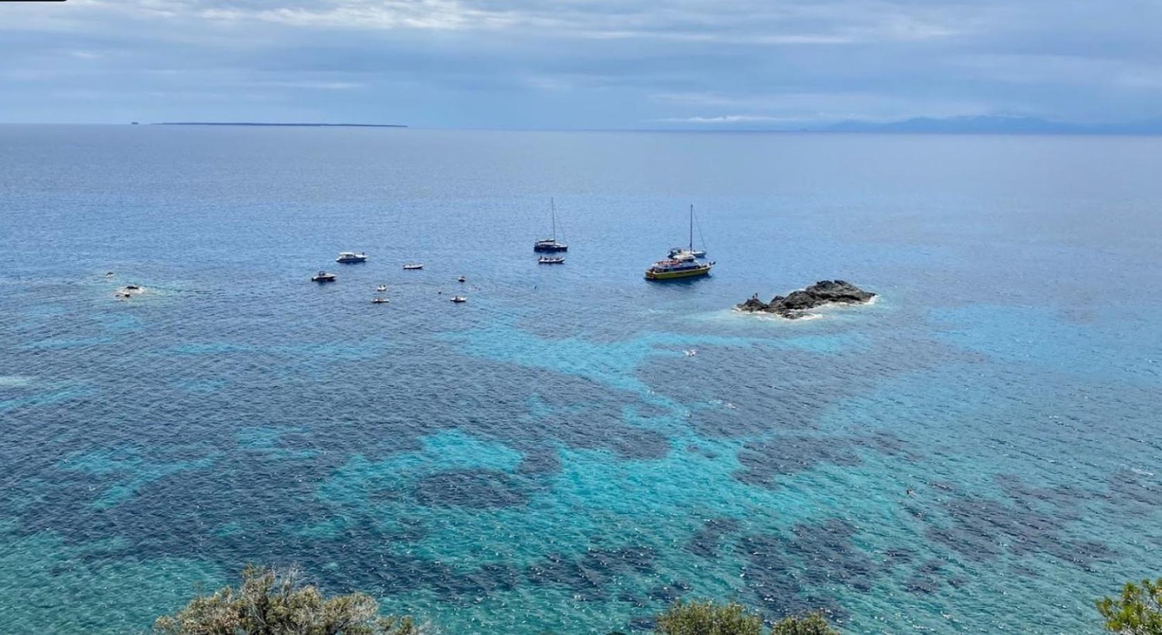 Il Gelso - Casa Vacanza Vista Mare a Pomonte - Isola Elba