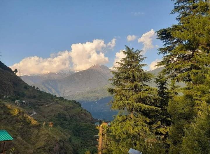 The Himalayan Harmony Homestay Dobhi view 2