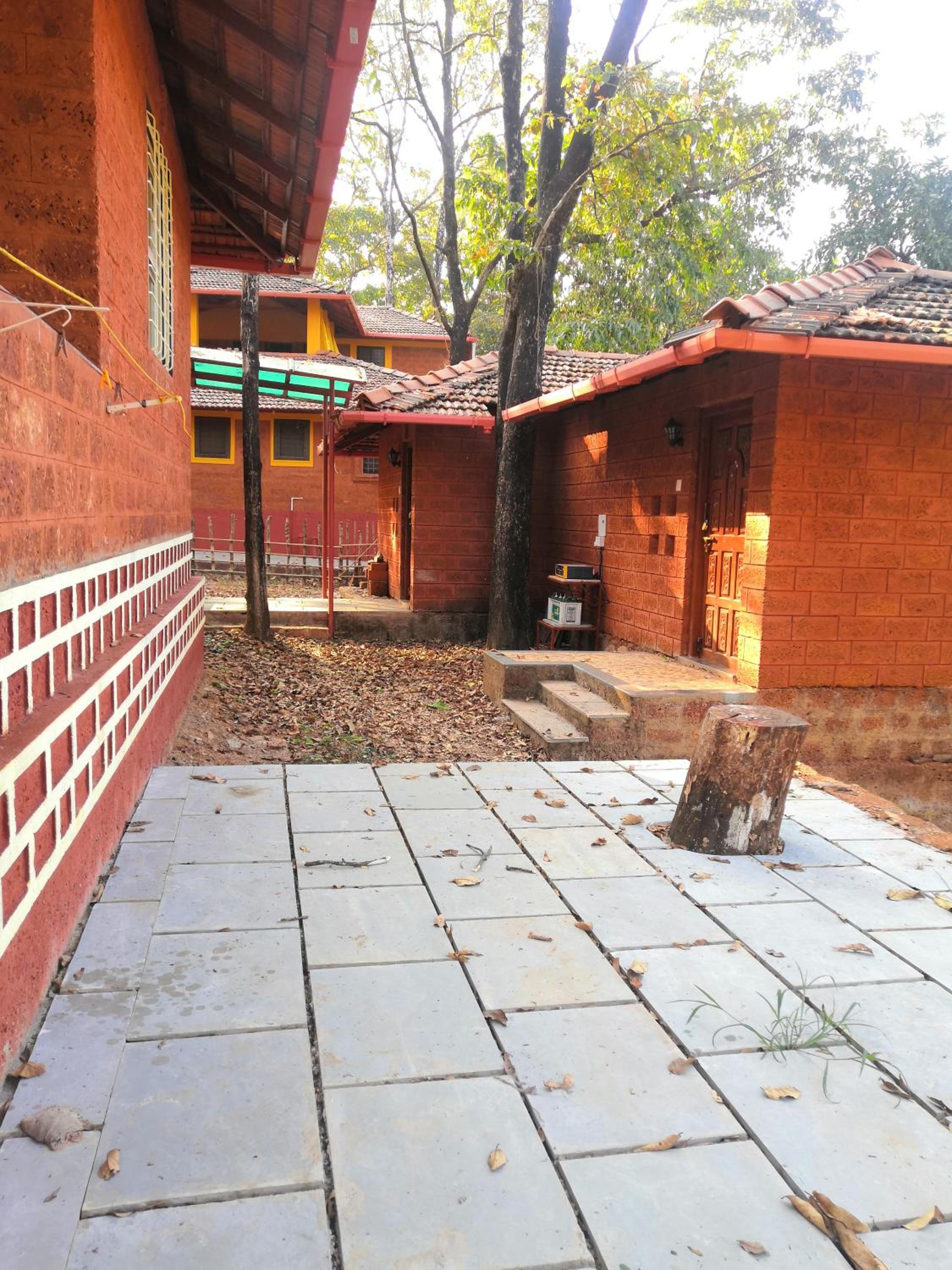 Photo 6