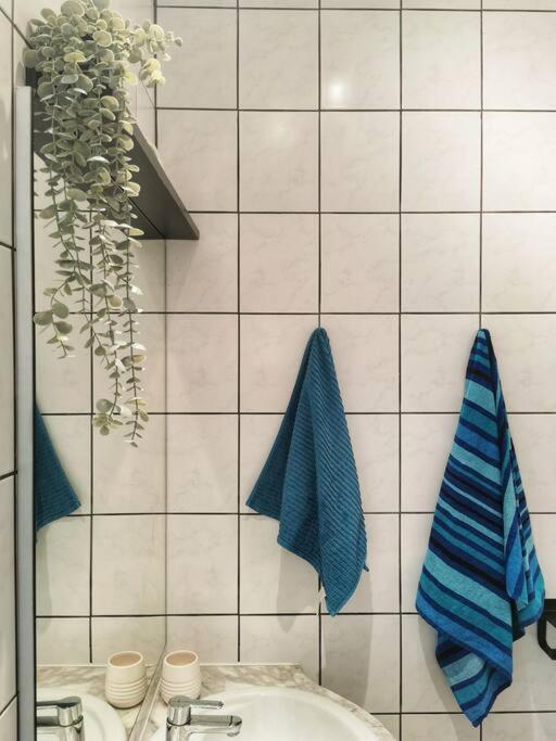 Cosy apartement in Antwerp's hipster neighbourhood