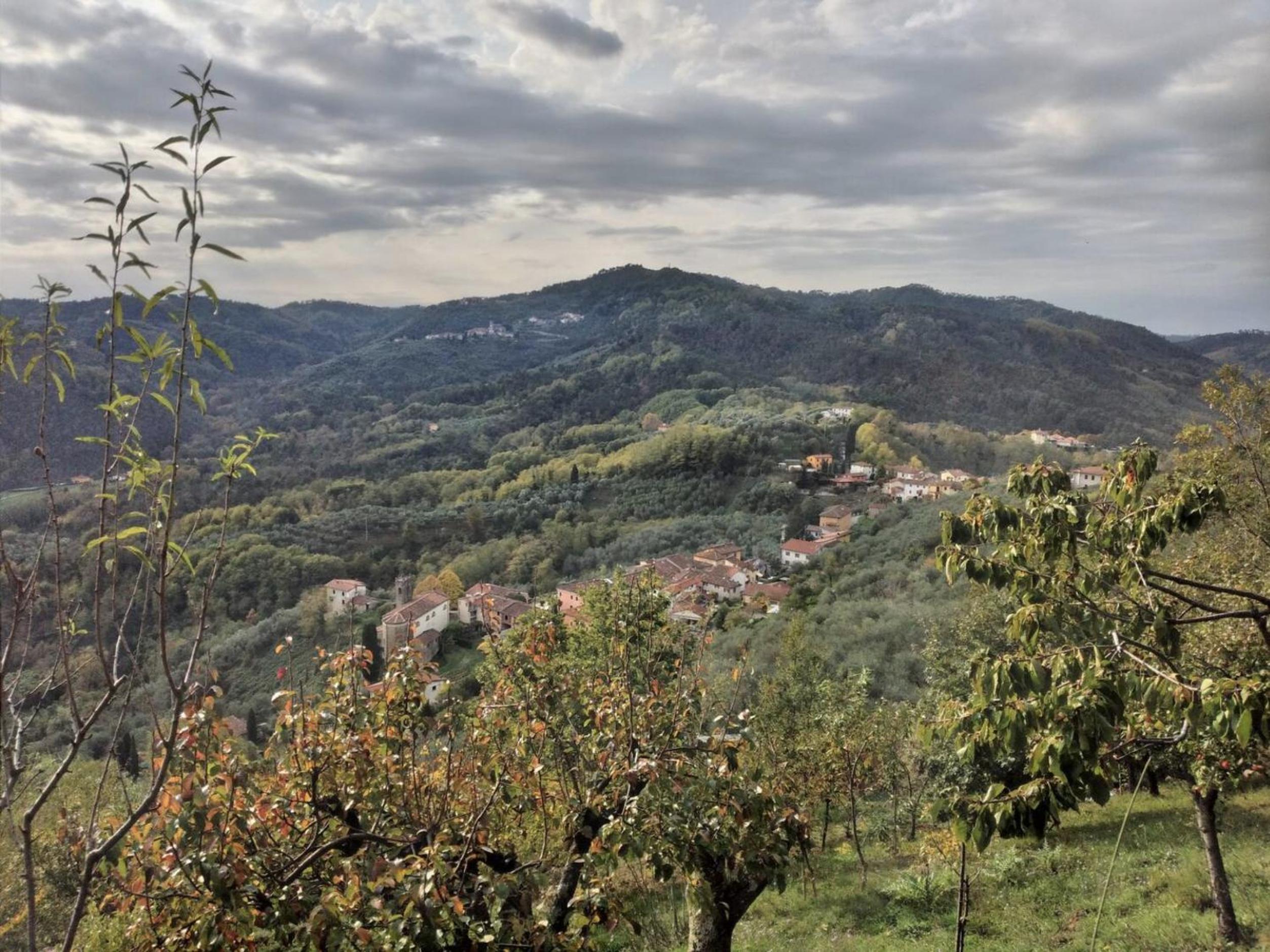 Casa rurale Colleccio - Oak Hills Modern Tuscany house in a Sustainable 1200s Hamlet - Treehouse terrace view 3