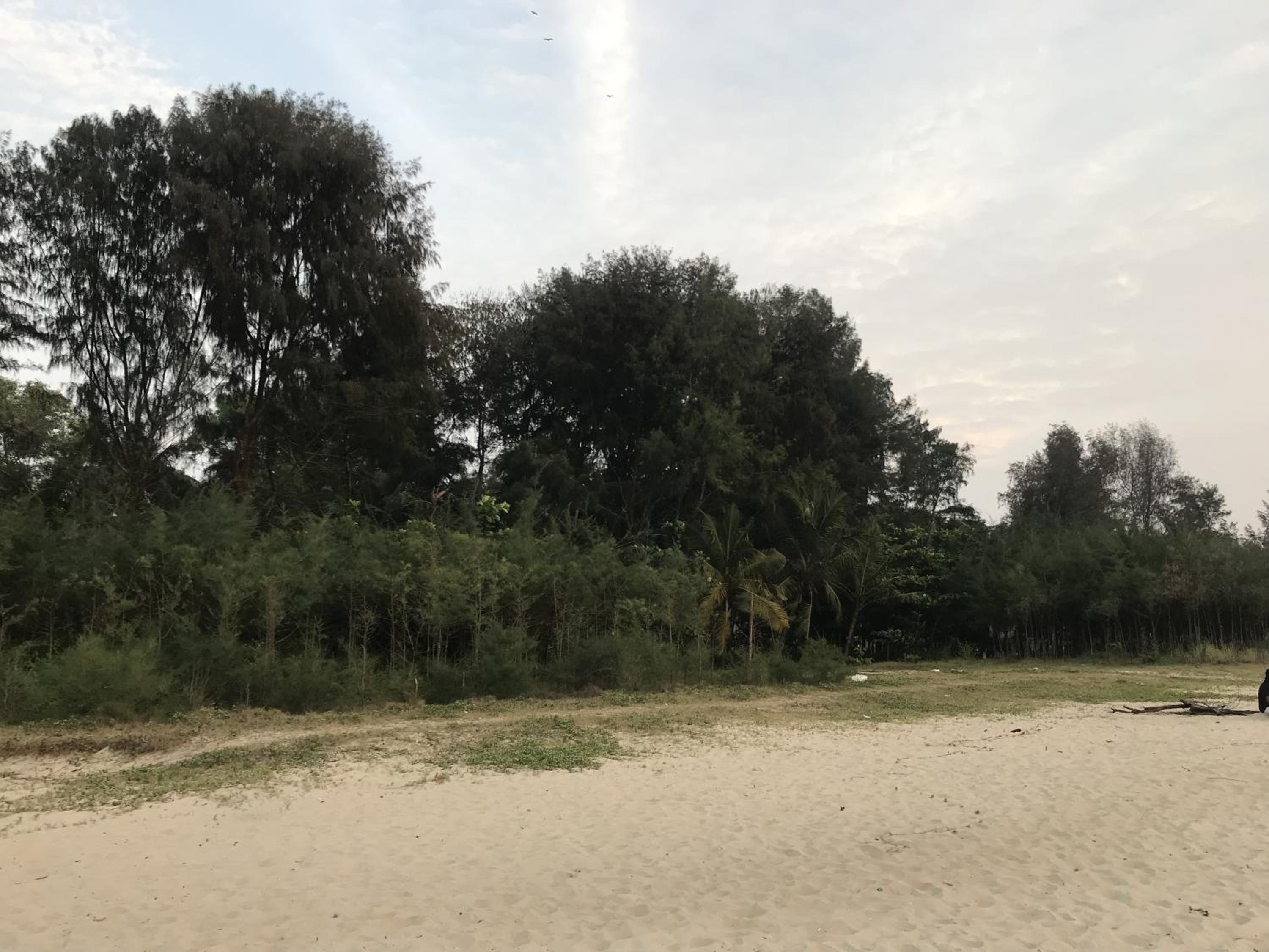 Photo 41
