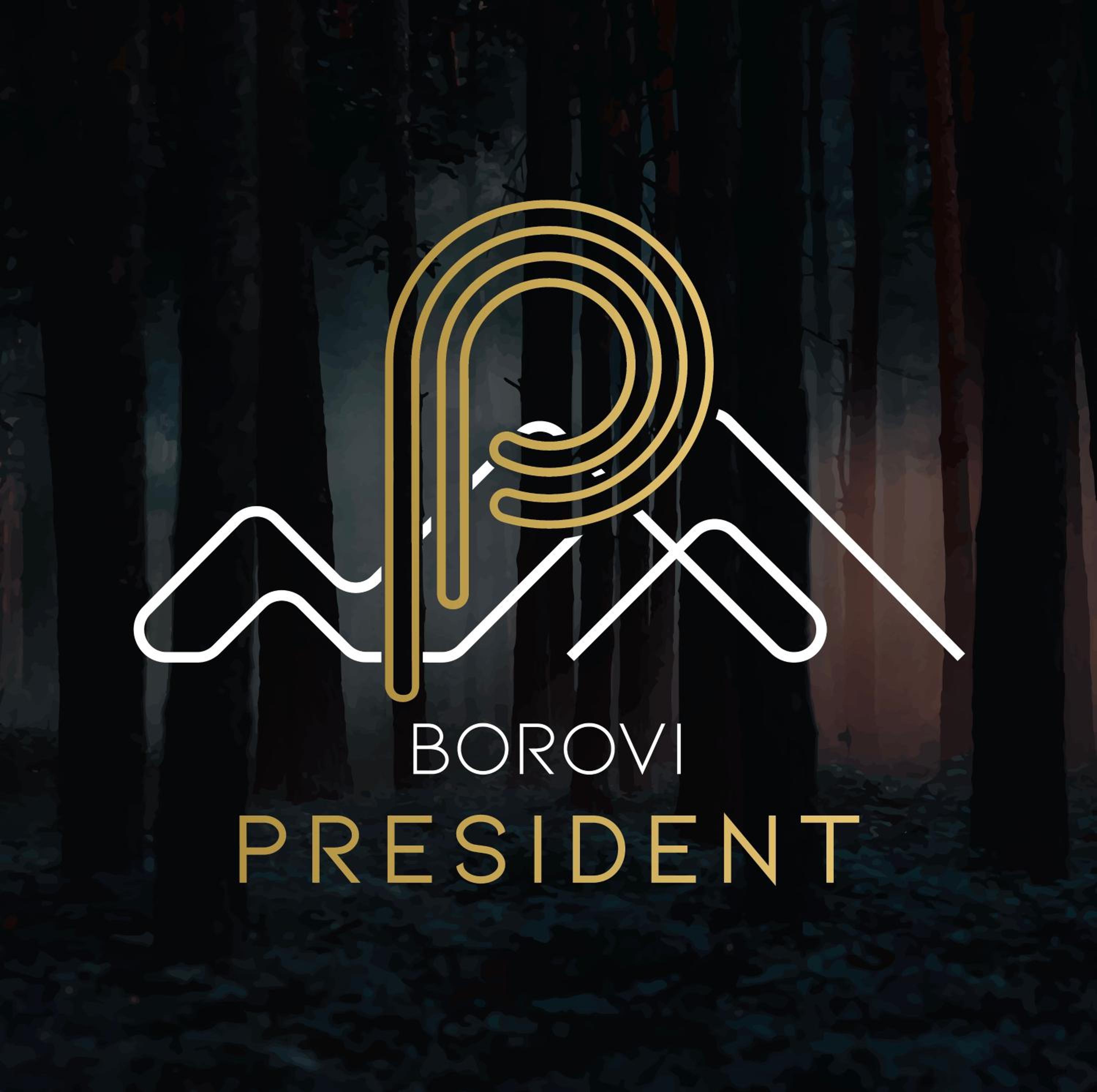 BOROVI PRESIDENT SPA Apartment