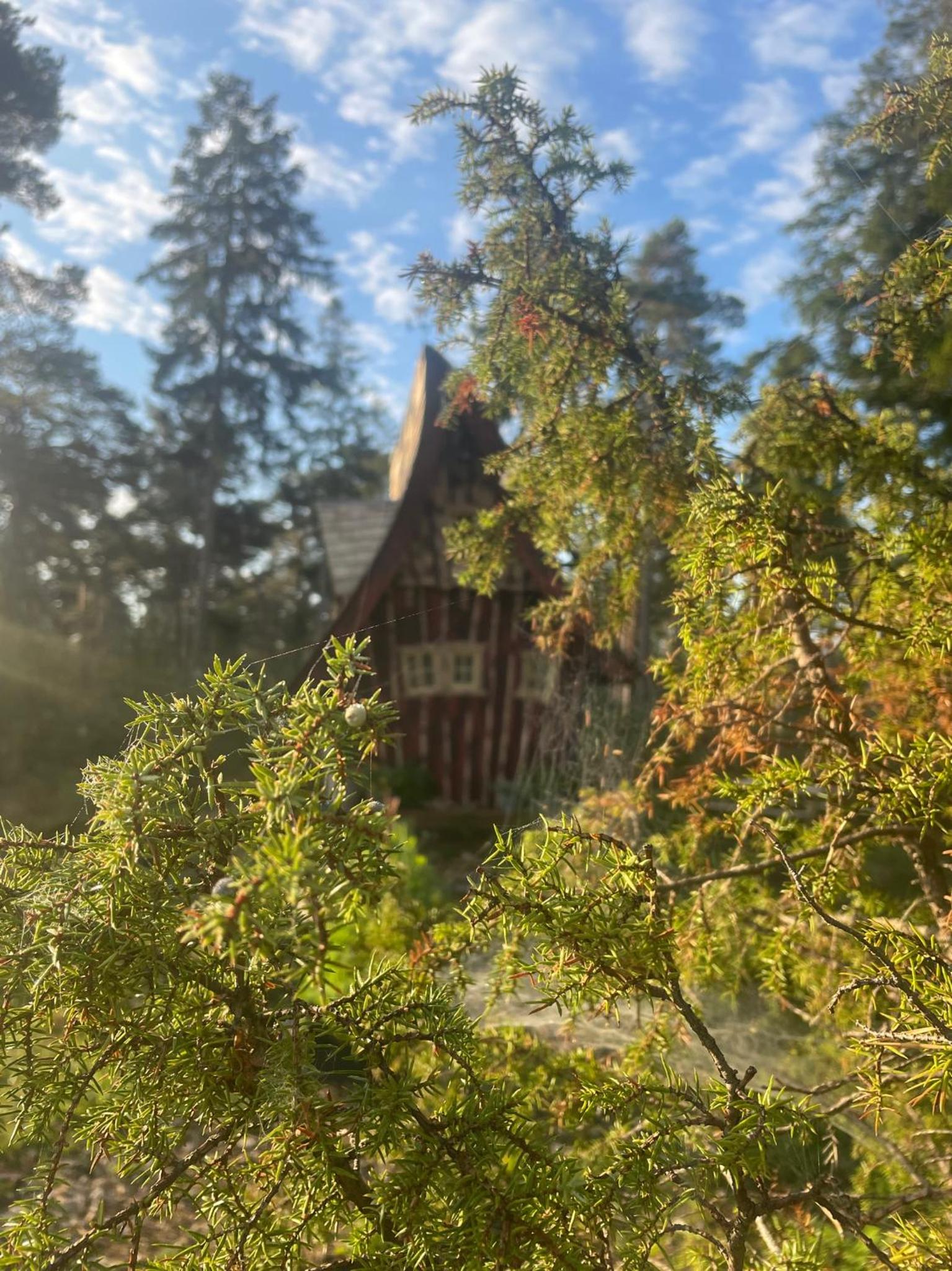 Fairytale tinyhouse - Häxans hus