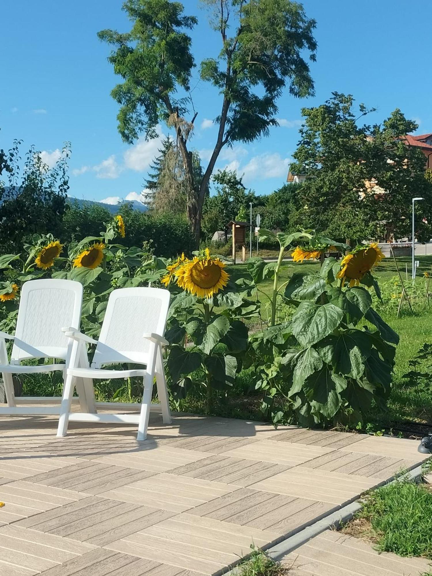 I girasoli