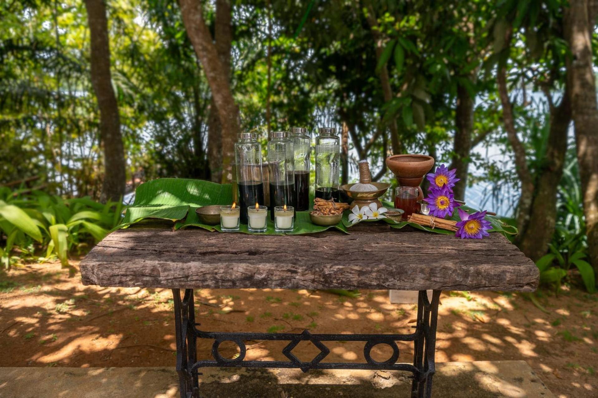 MO River House Luxury Villa