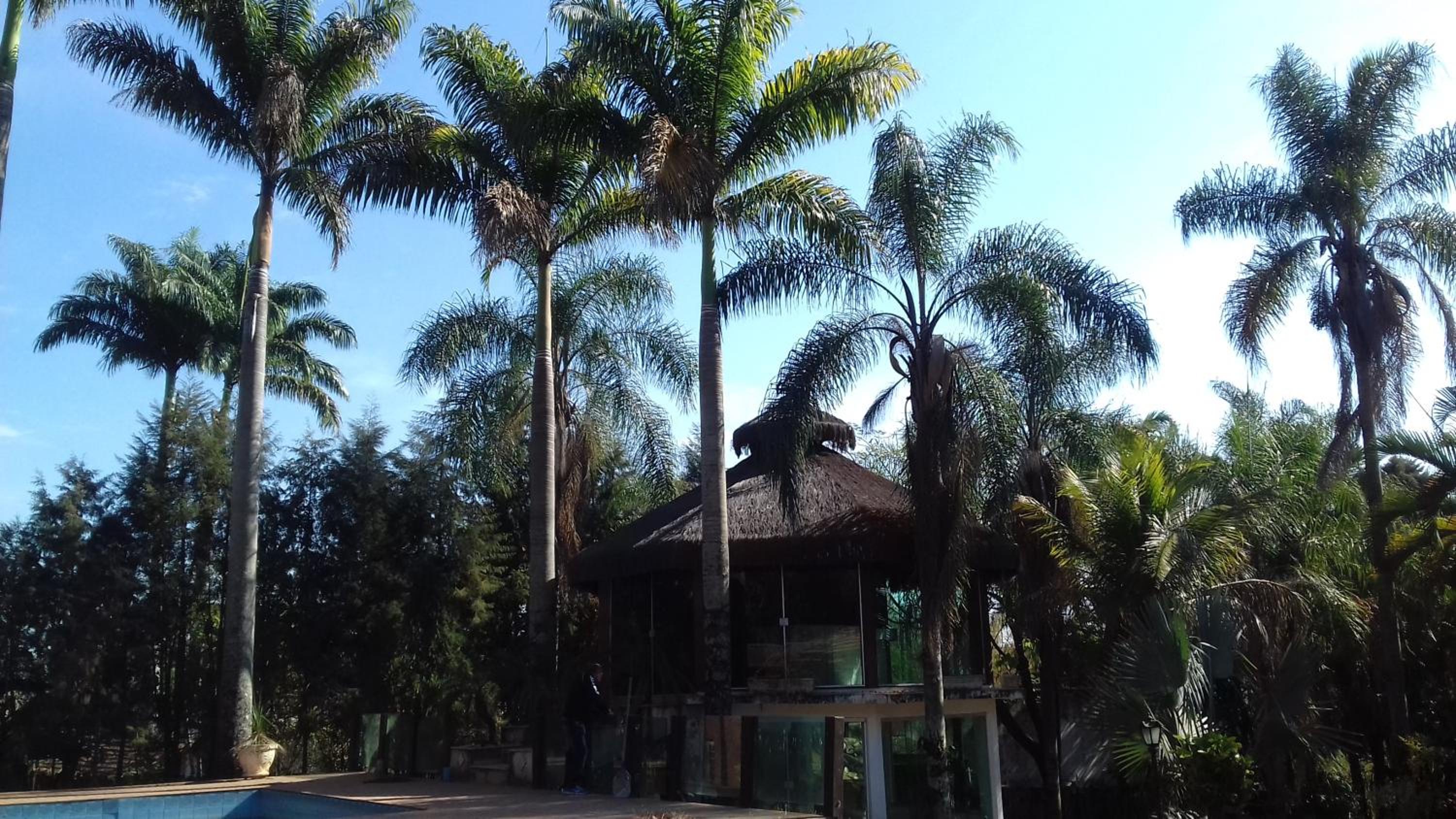 Terra Rica Summer House
