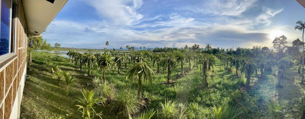 Beautiful 2BD Farmhouse for 3-10 pax view 4