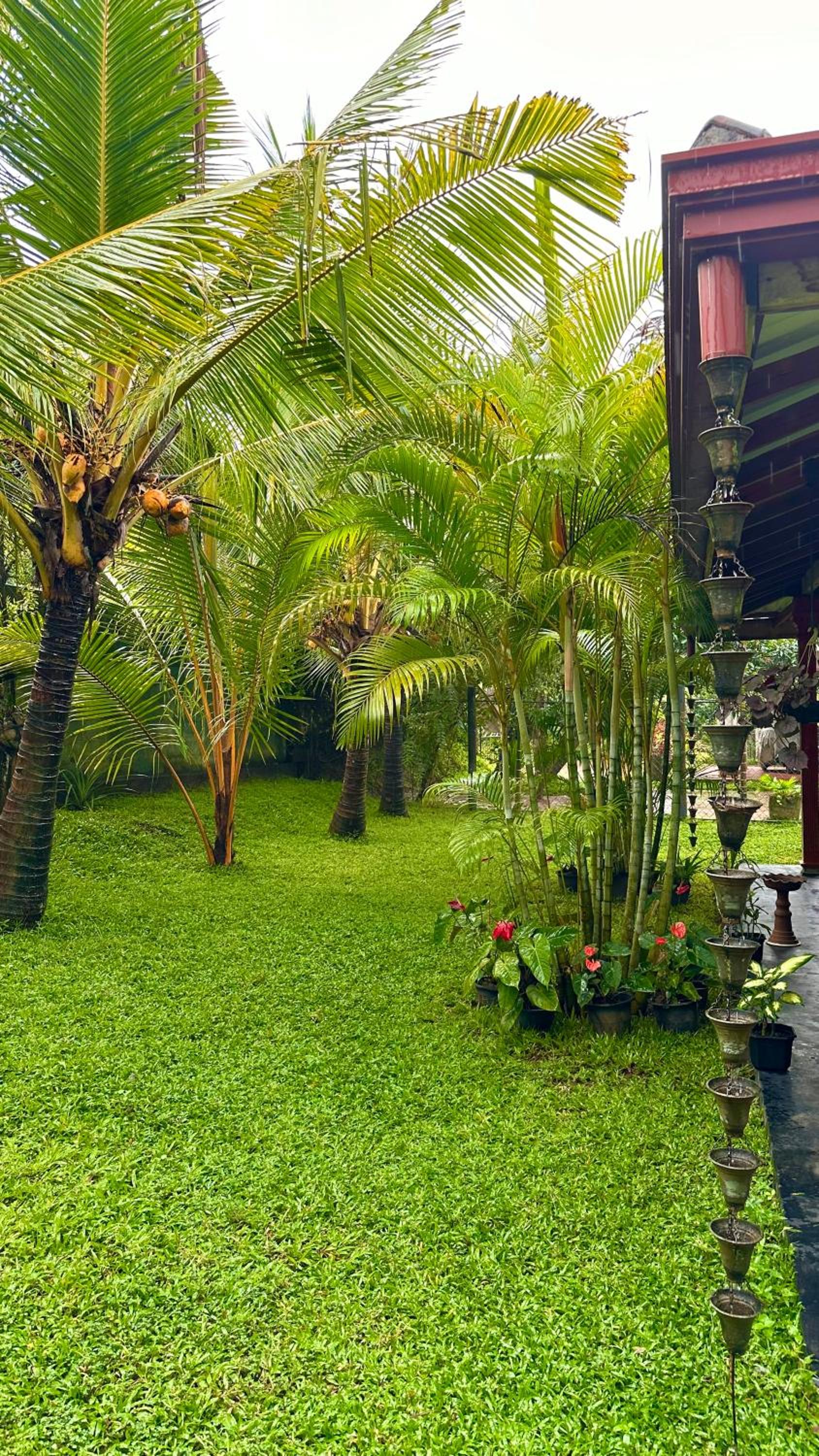 Jasmin Homestay Marakolliya view 2