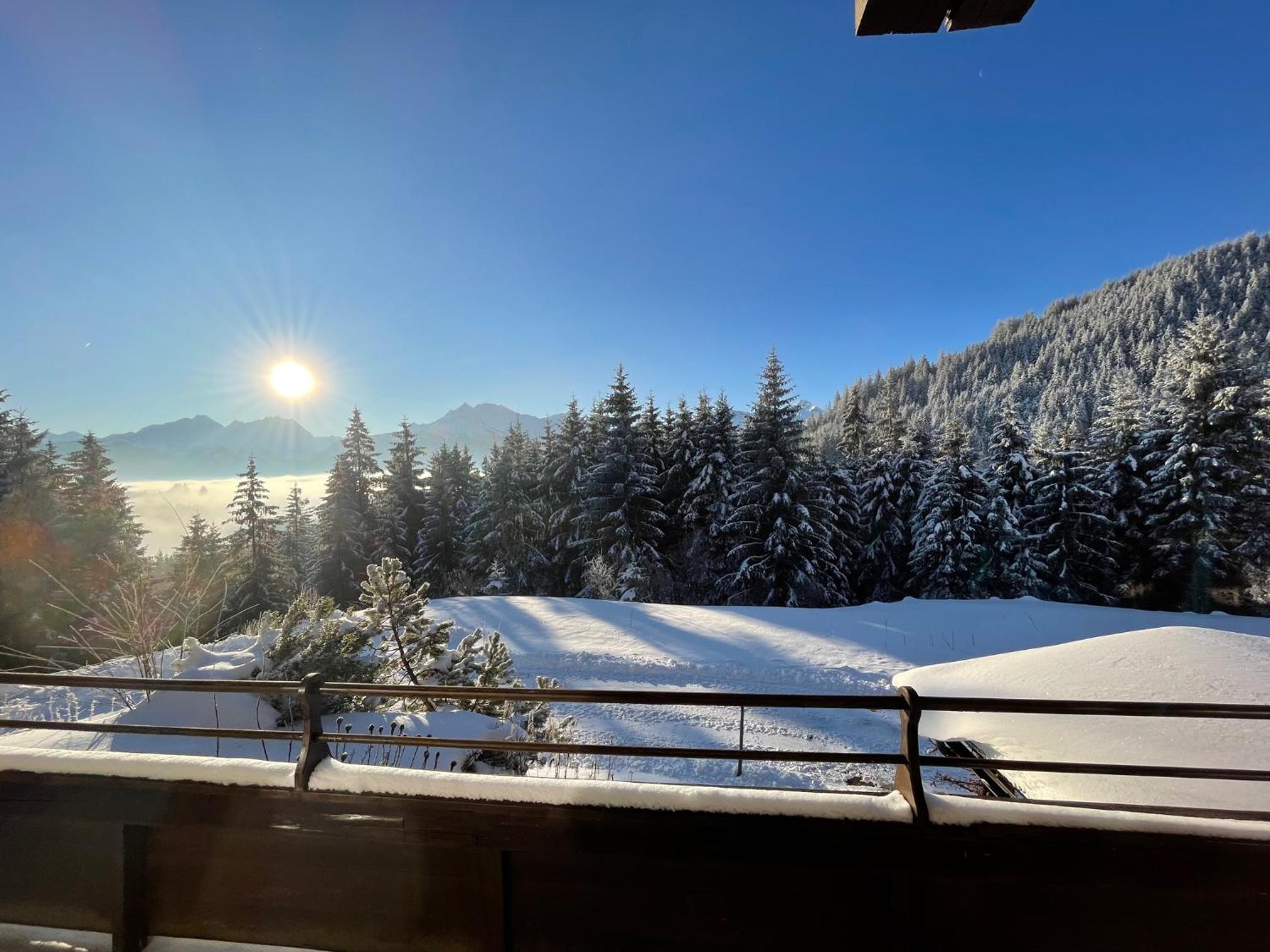 Buena Vista Mountain Lodge