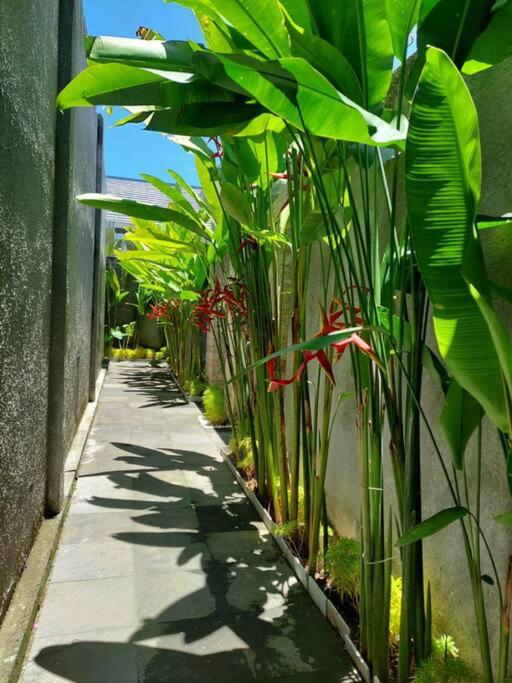 Livin Sanur Villa