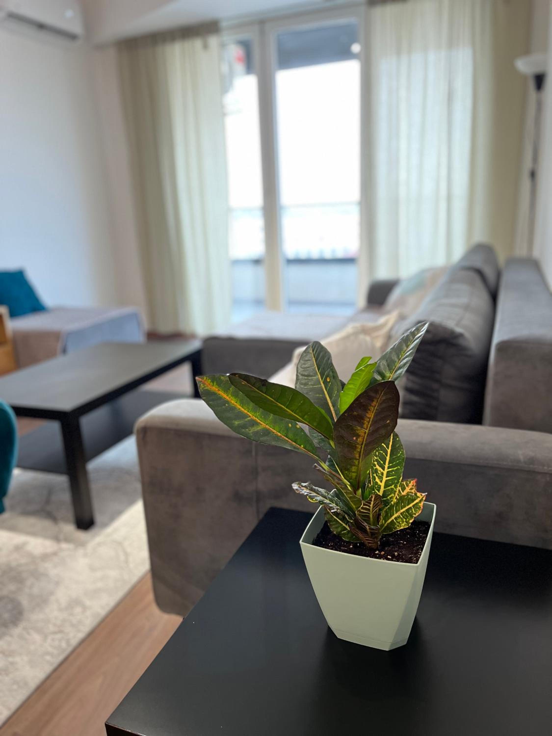 MML Apartment Skopje
