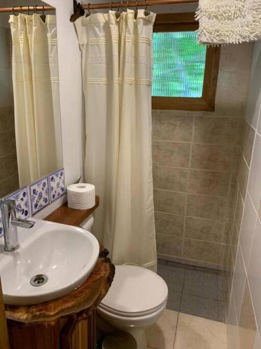 Cabaña entre Boldos