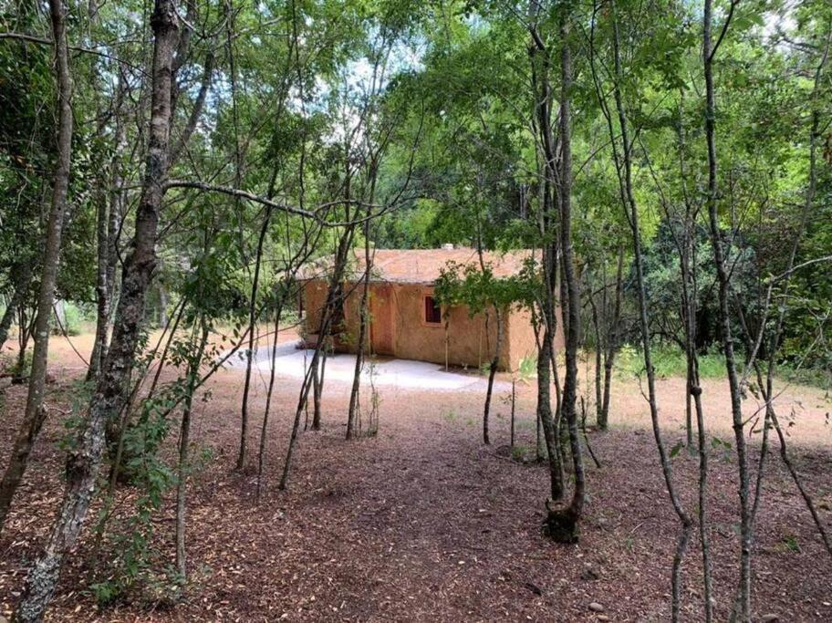 Cabaña entre Boldos