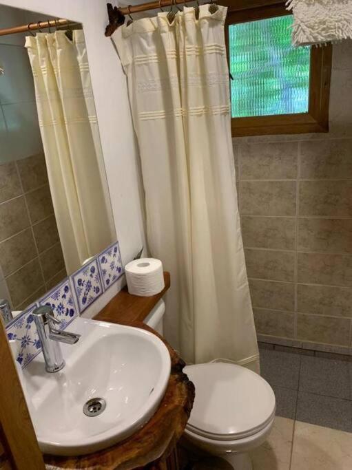 Cabaña entre Boldos