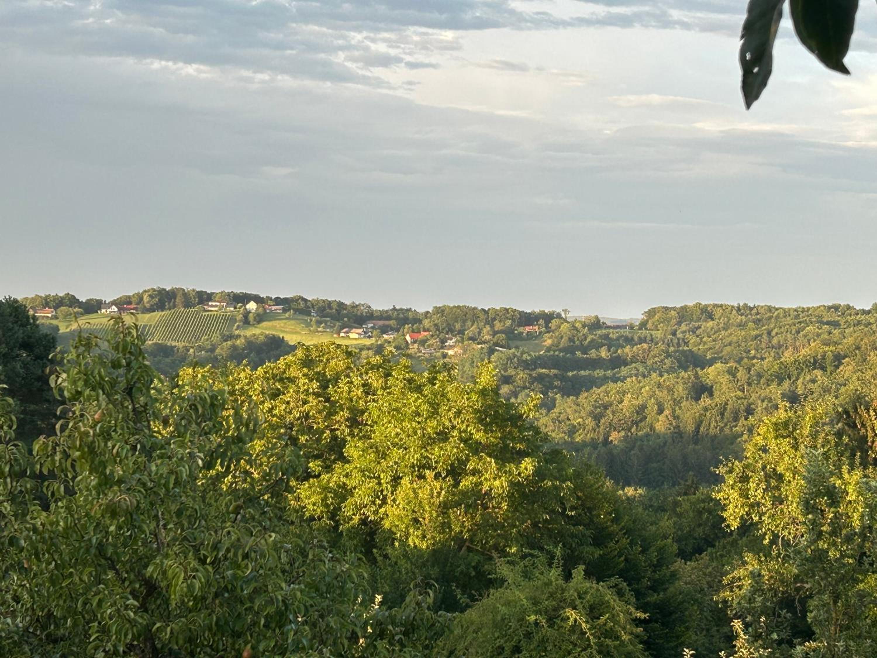 Der Hof am Wald