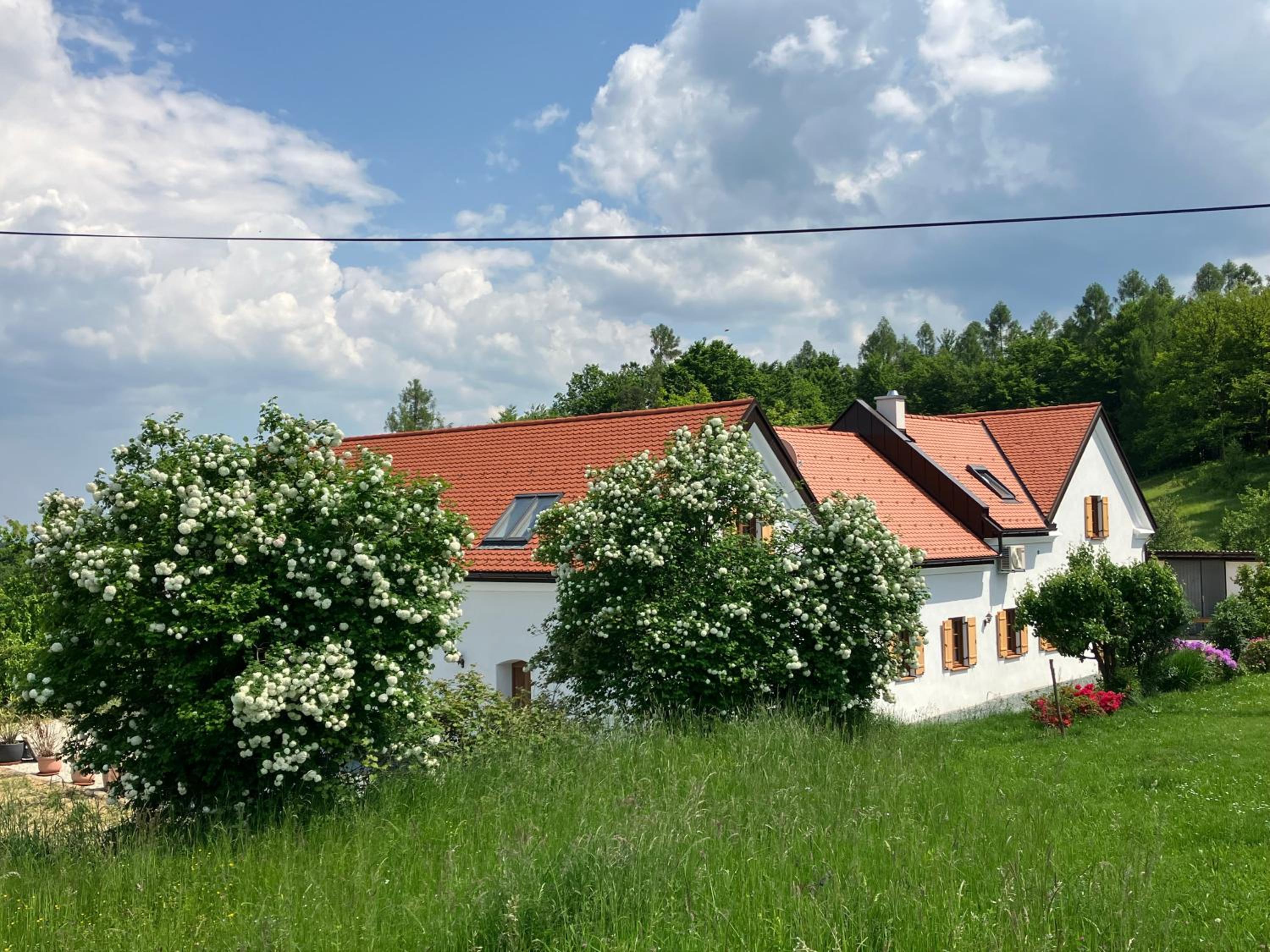 Der Hof am Wald