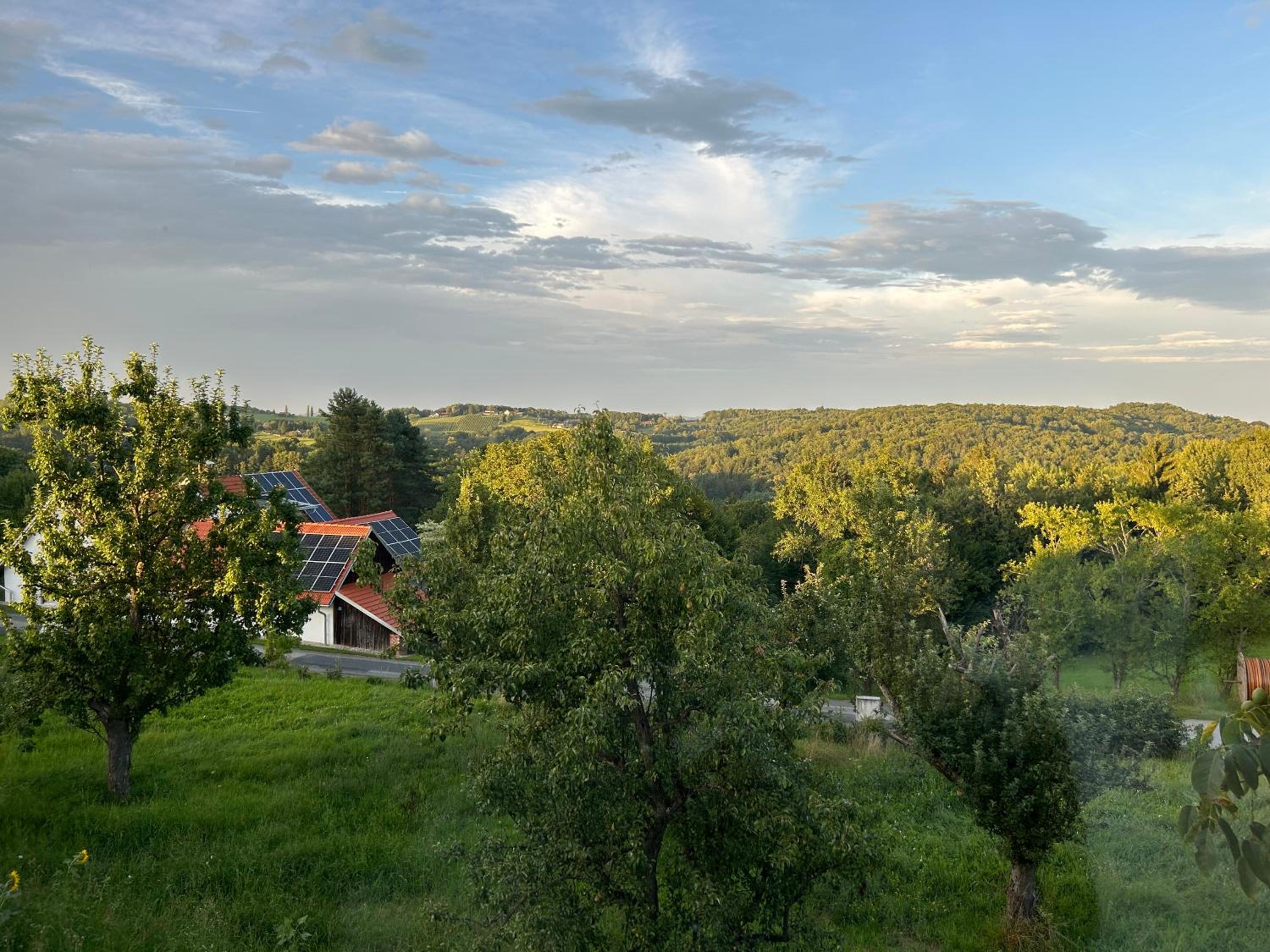 Der Hof am Wald