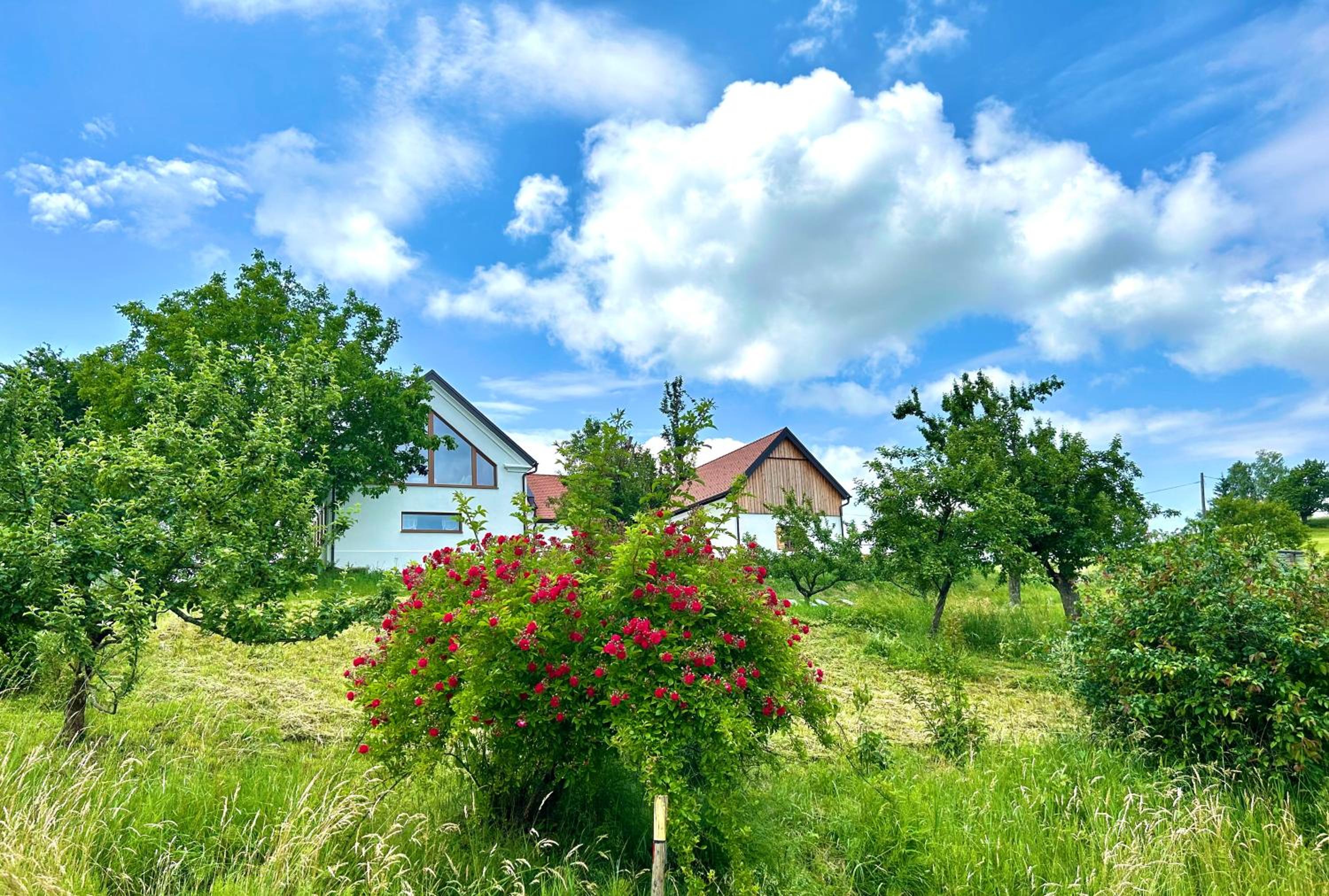 Der Hof am Wald