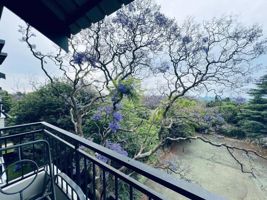 City Sky Line View .Melrose,Rosebank ,Sandton