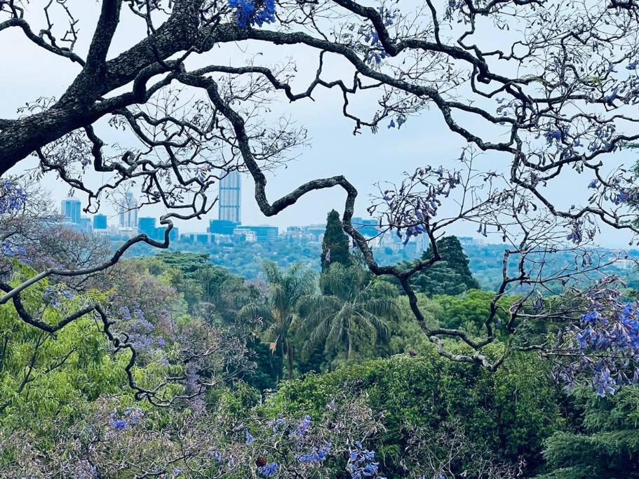 City Sky Line View .Melrose,Rosebank ,Sandton