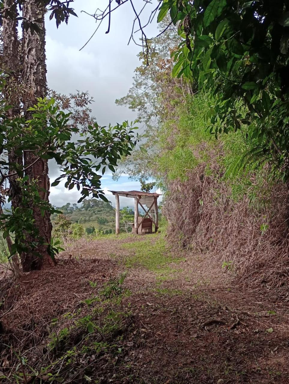 Casa Luka