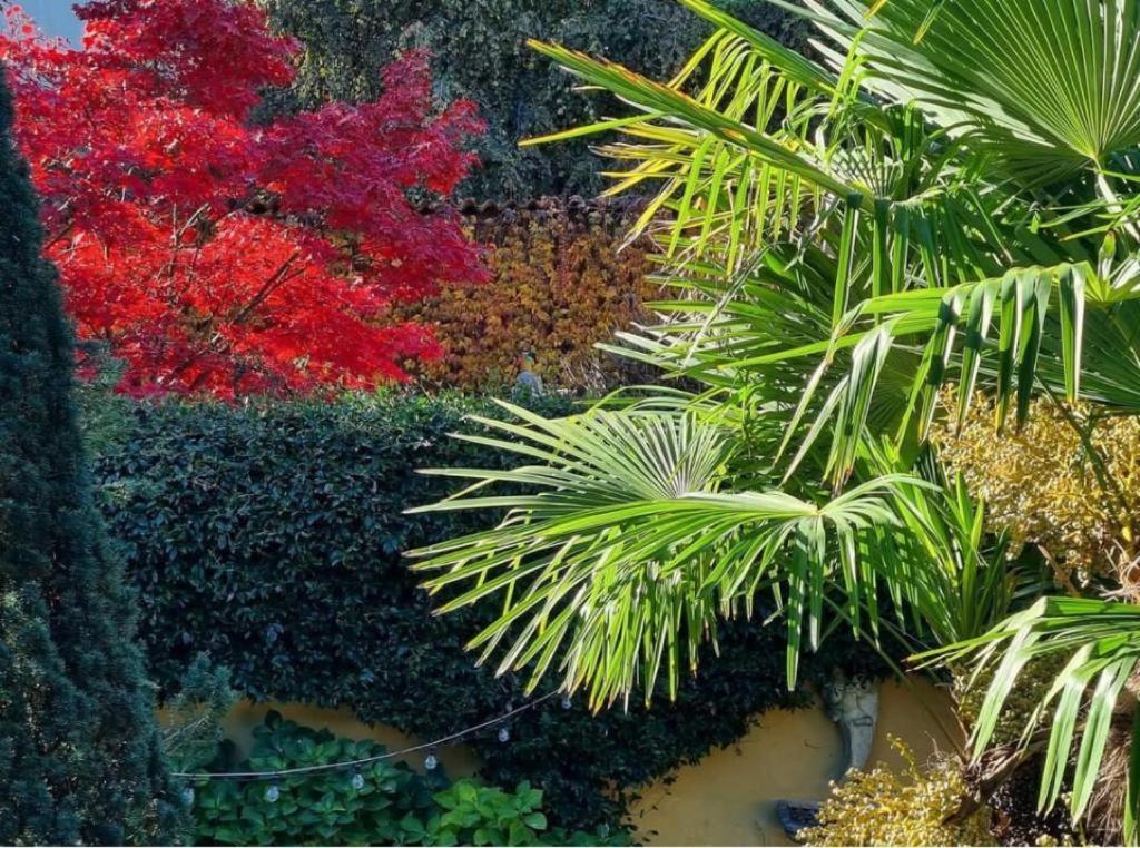 La casa di Beatrice e Francesca photo 4