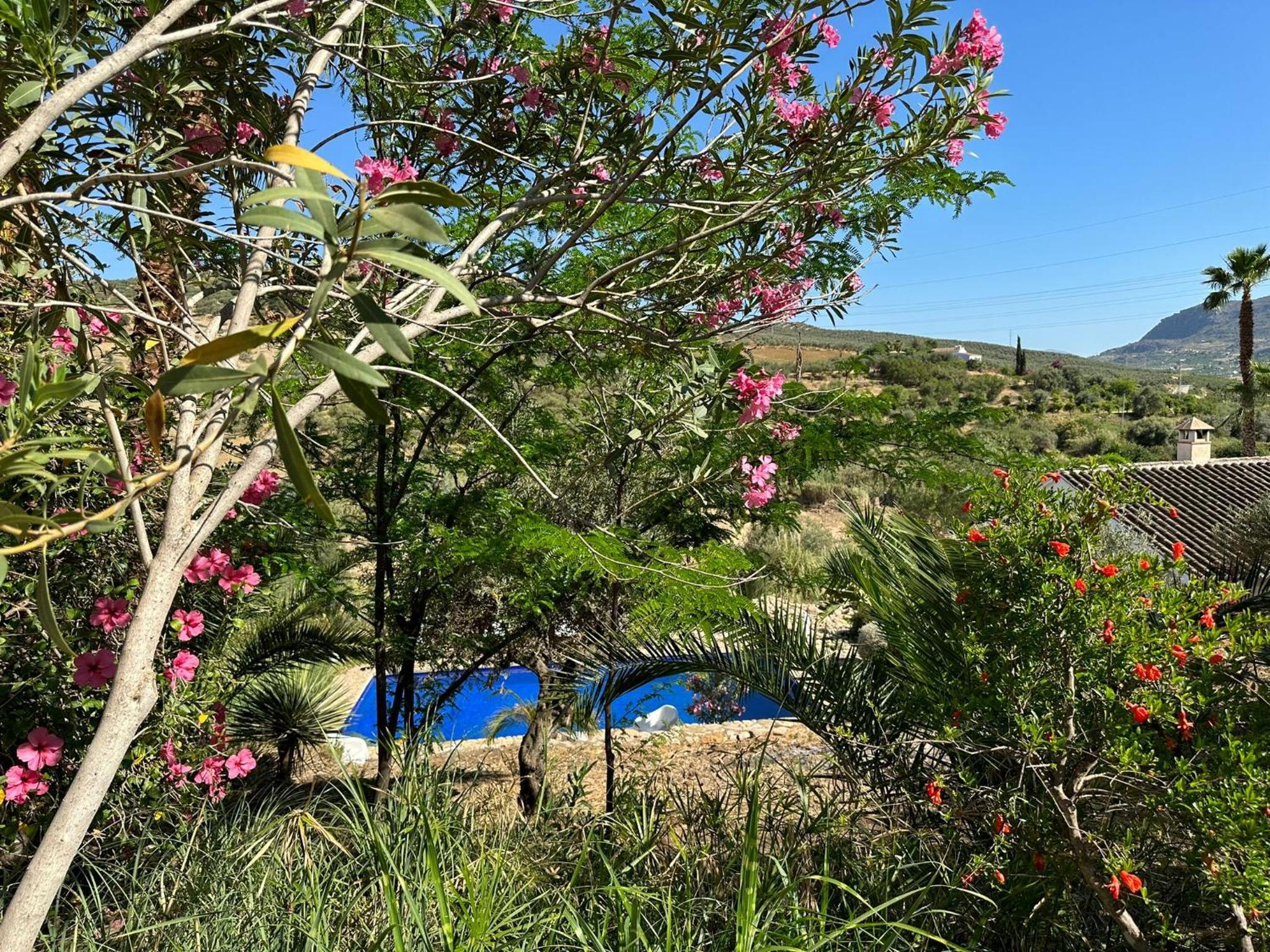 Finca Dariana Padel & Pool