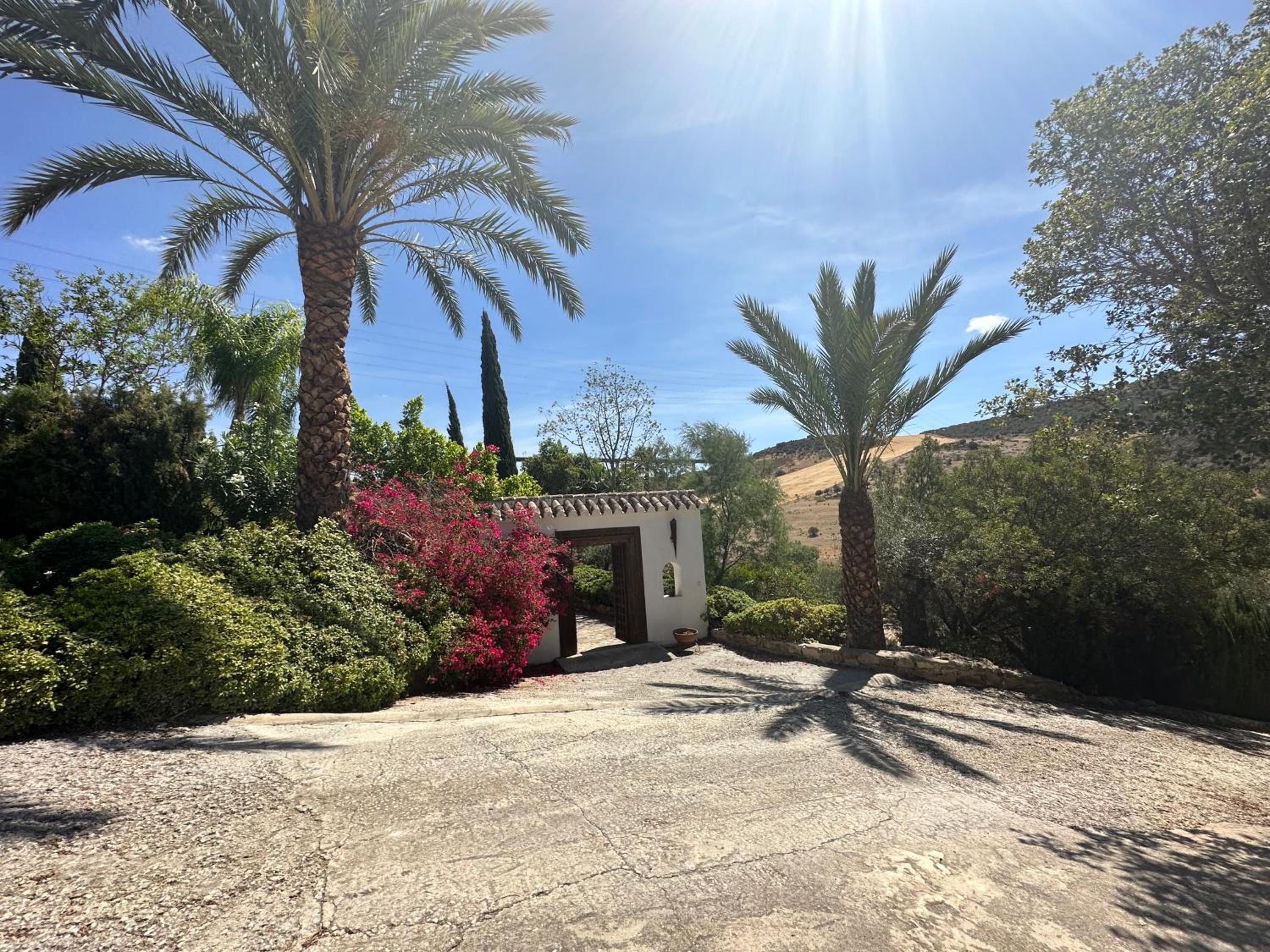 Finca Dariana Padel & Pool