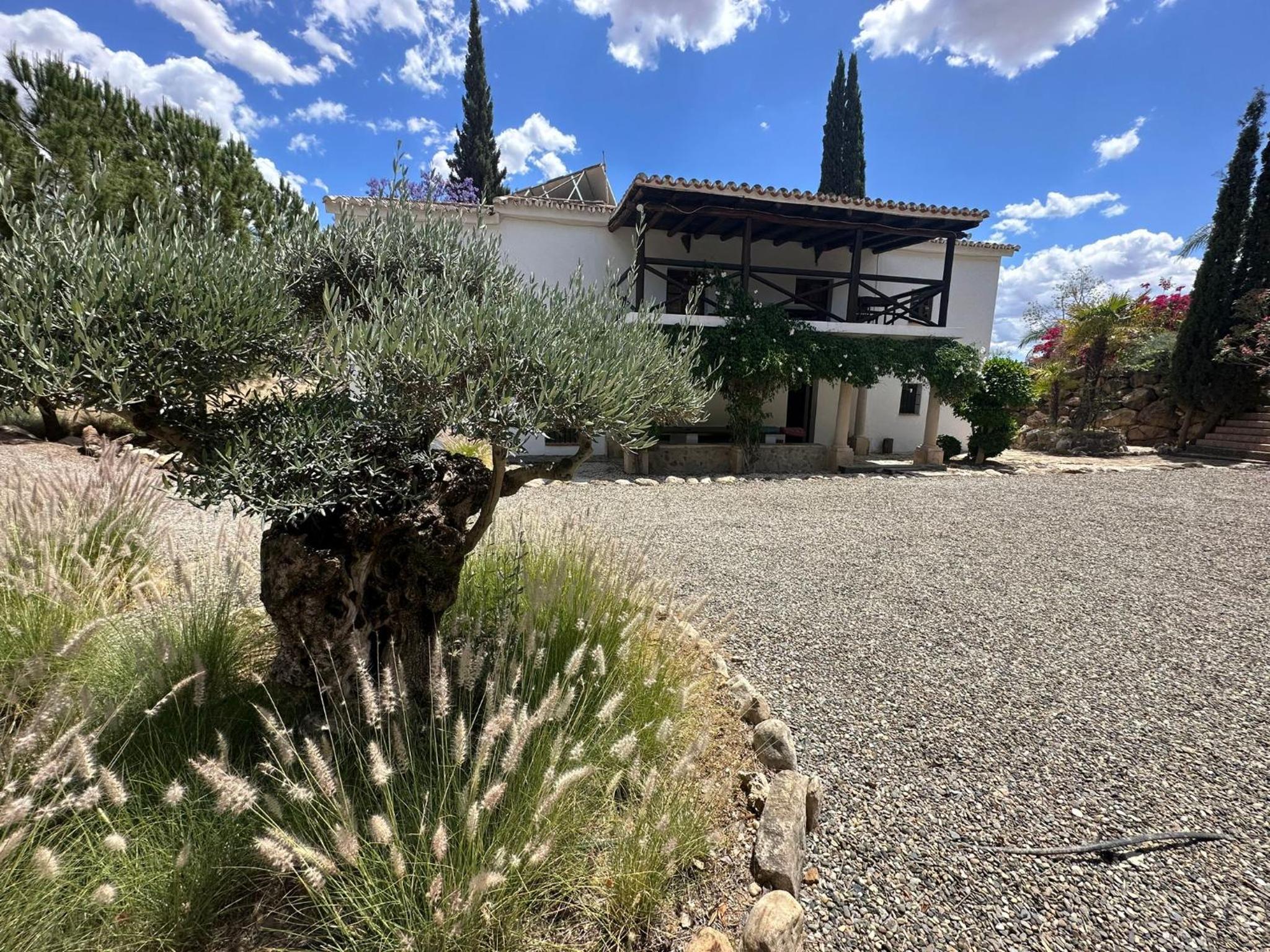 Finca Dariana Padel & Pool