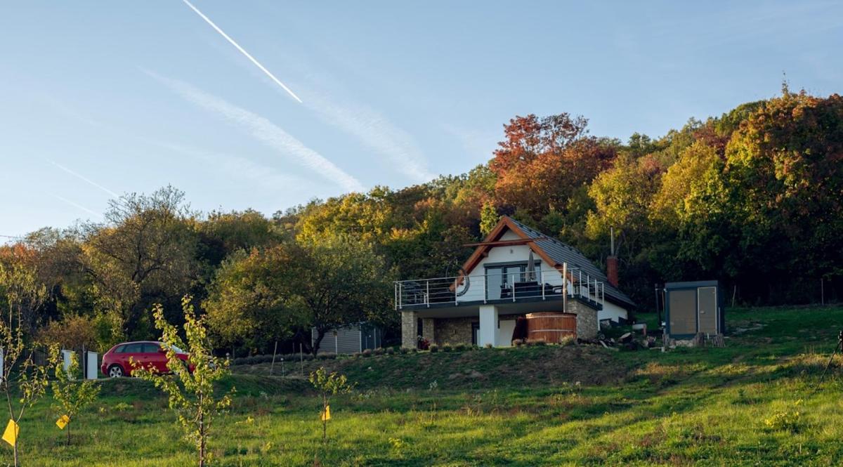 Káli Vineyard Estate