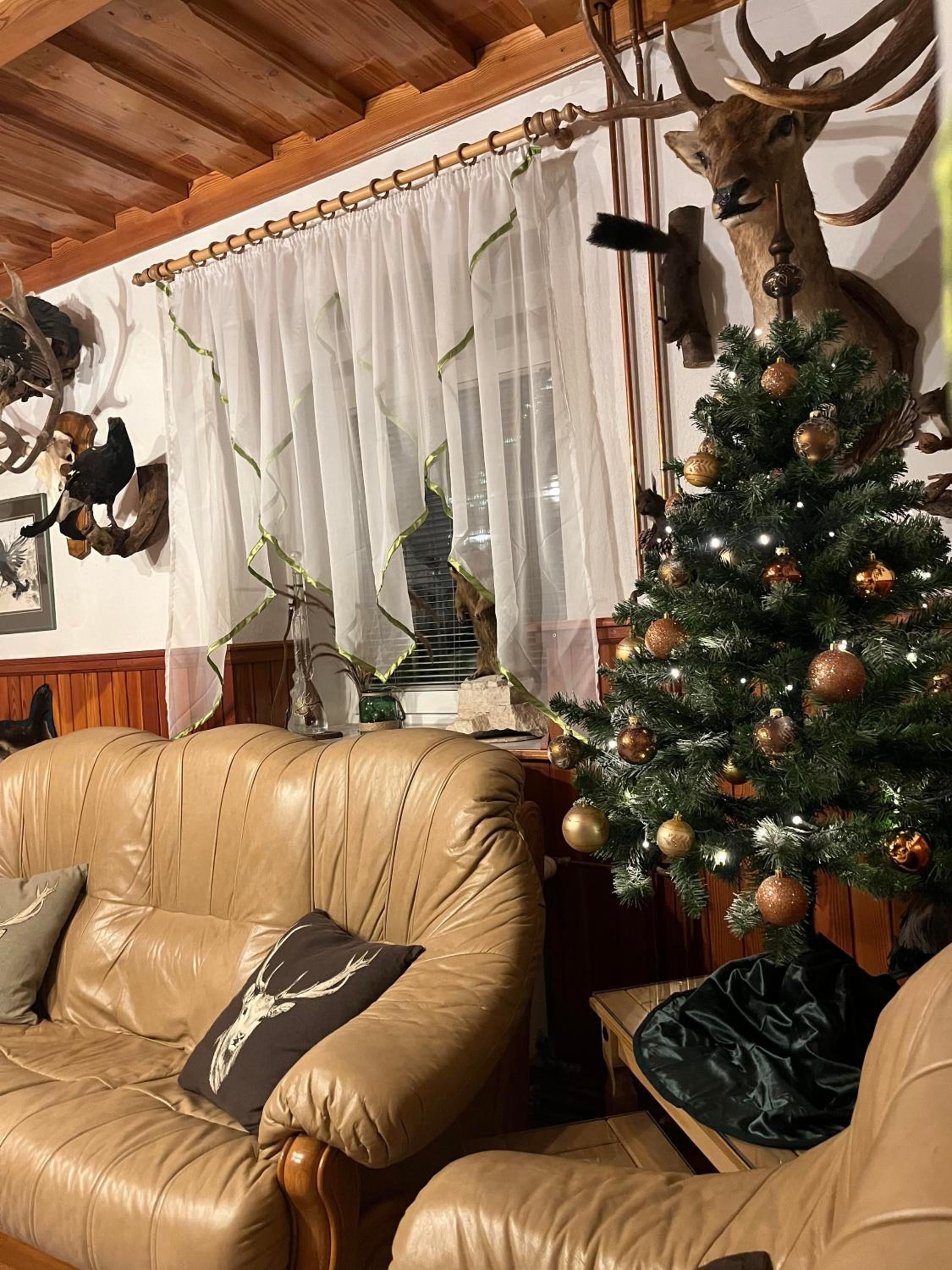 Photo 38