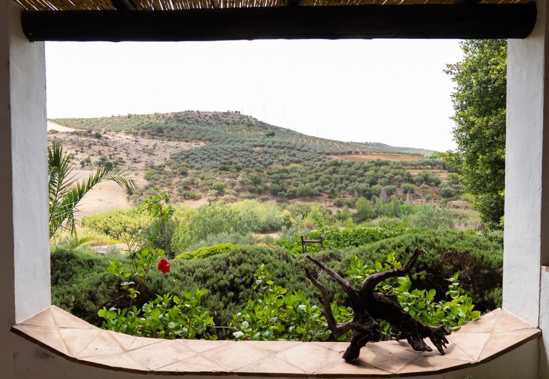 Finca Dariana Padel & Pool