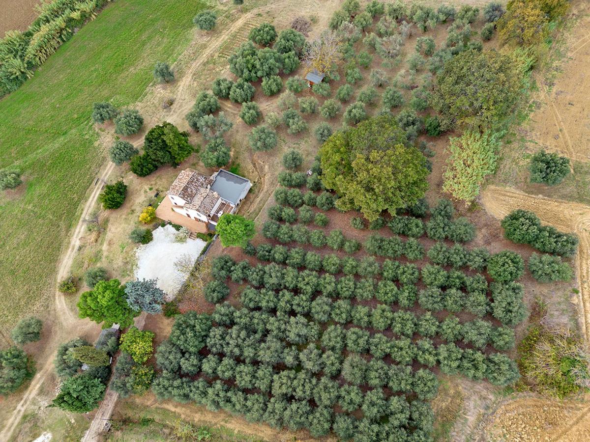 Agriturismo Il Gelso Antico