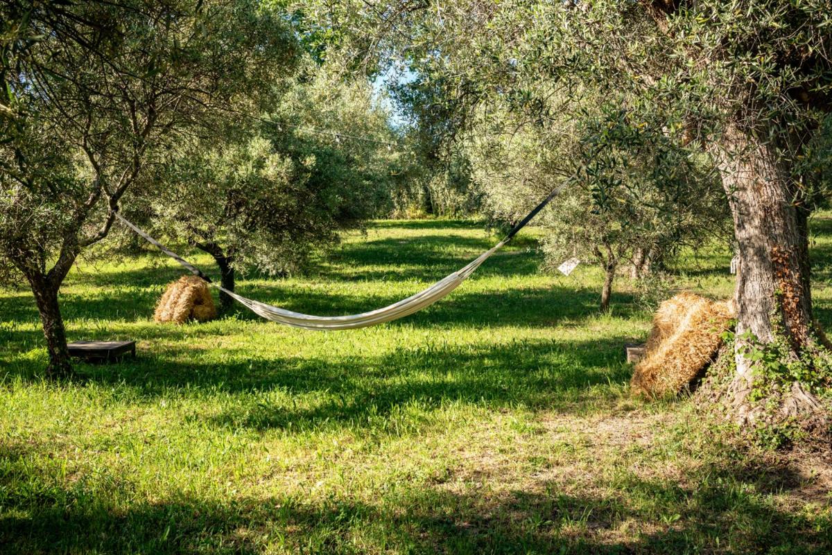 Agriturismo Il Gelso Antico