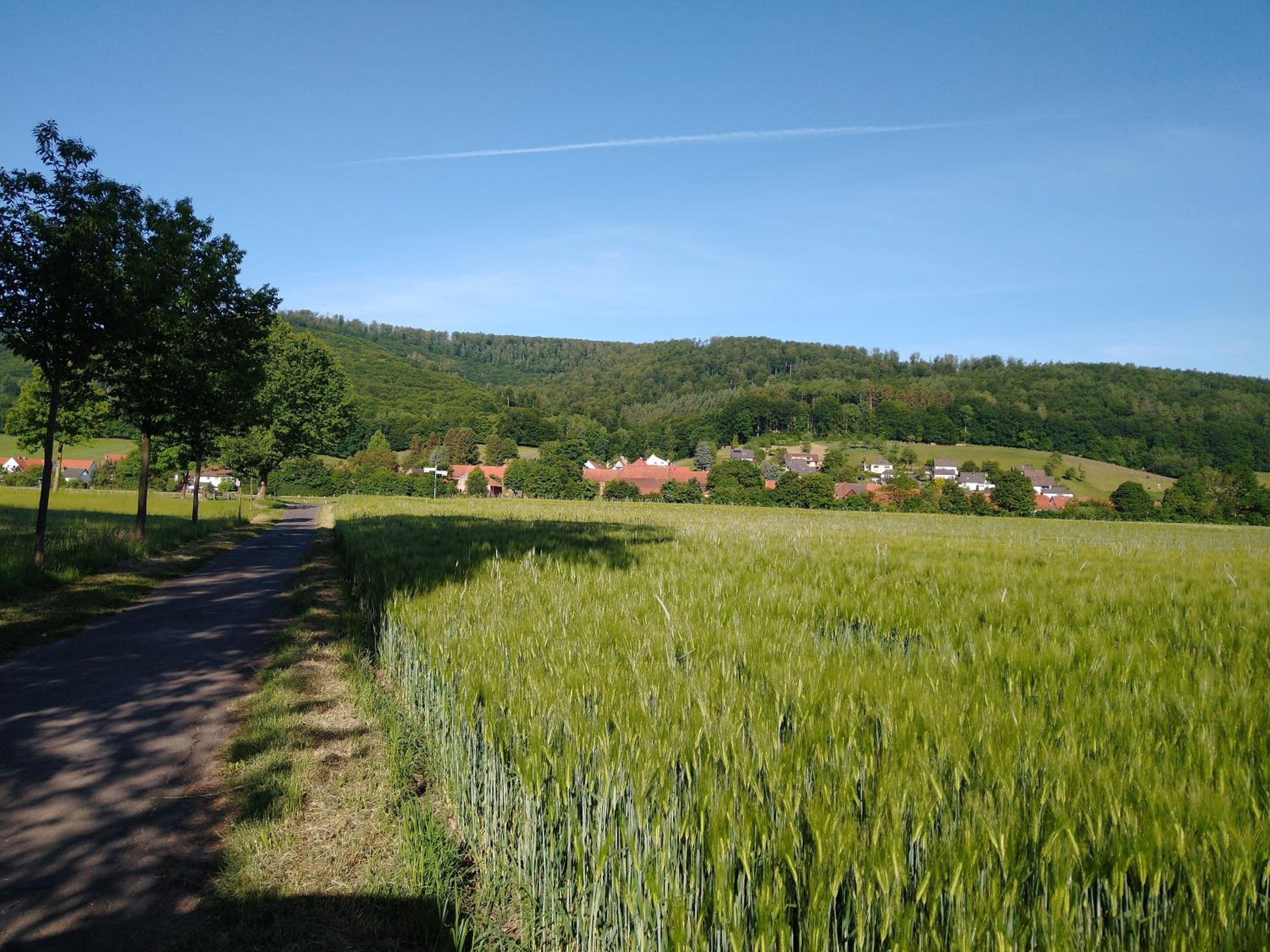 Ferienhaus -Wesertal