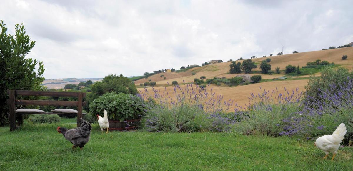 Agriturismo Il Gelso Antico