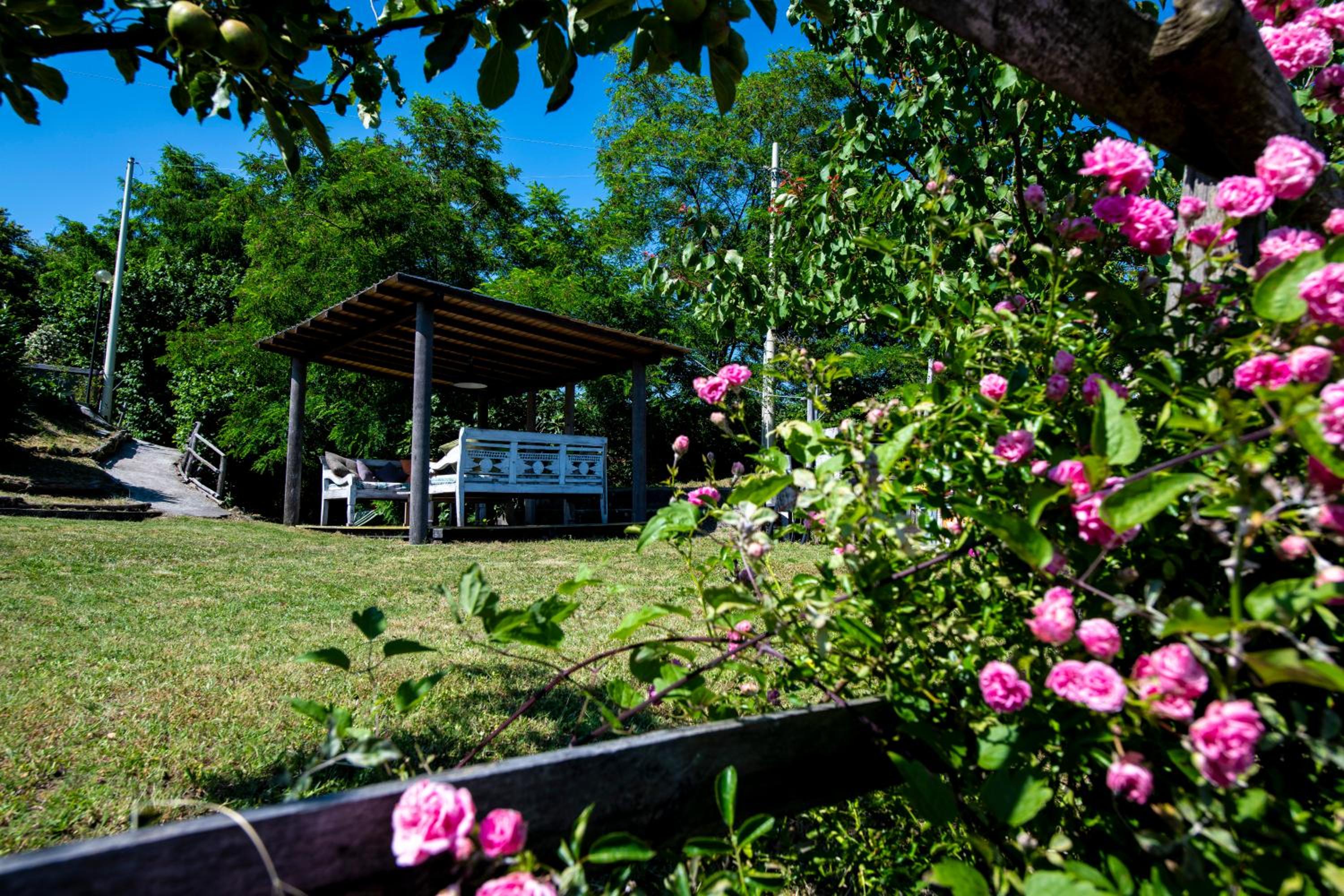 210 - Appartamento Larice - Terrazza, giardino e piscina view 5