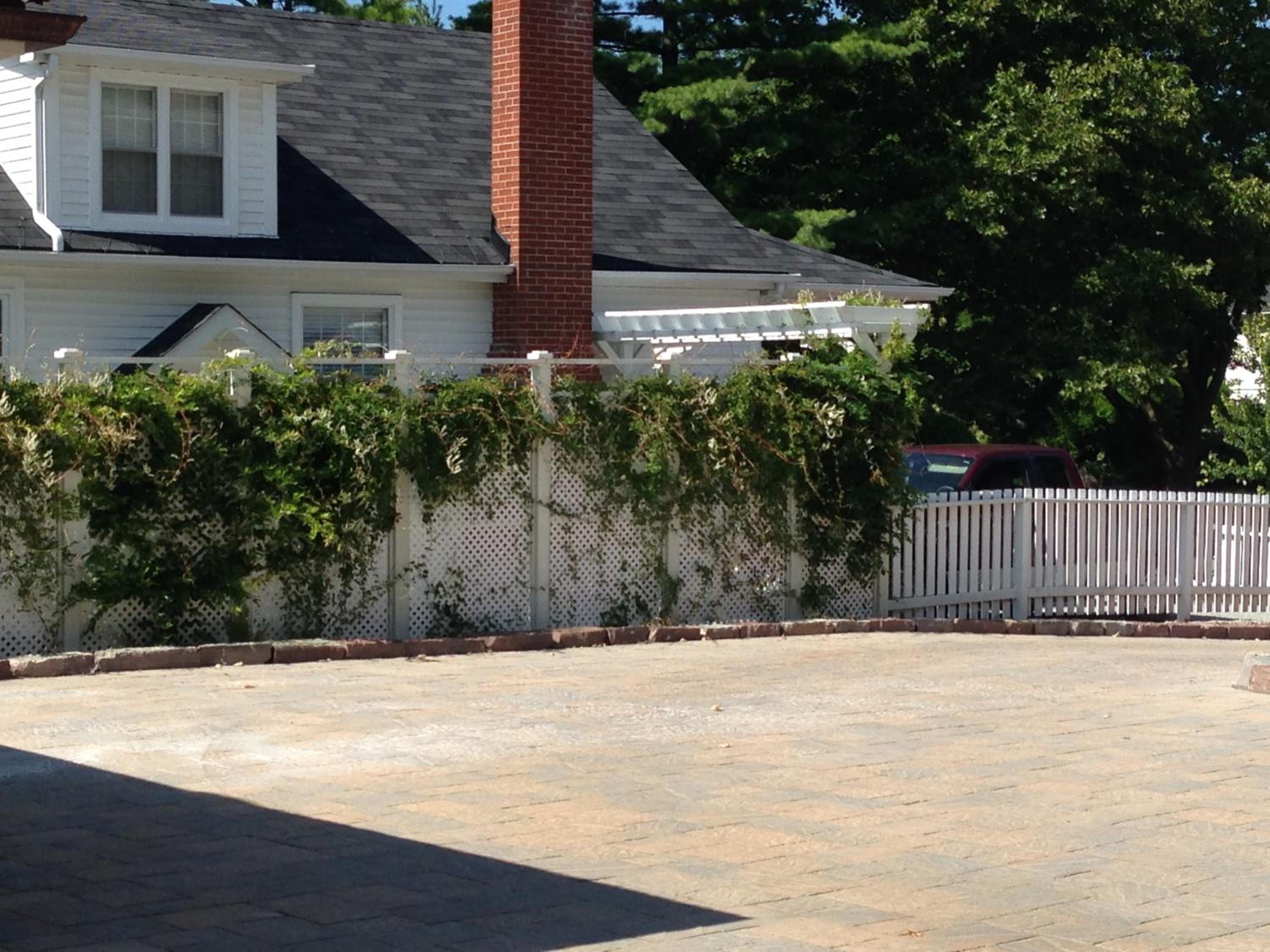 Old Ivy Walk, photo 55