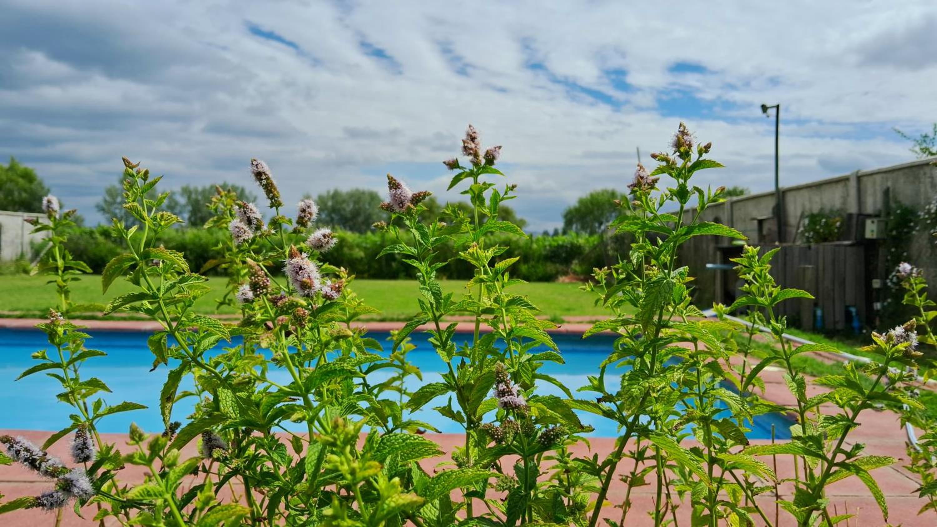 Encantador Loft, entre Viñas, Valles y Piscina Privada