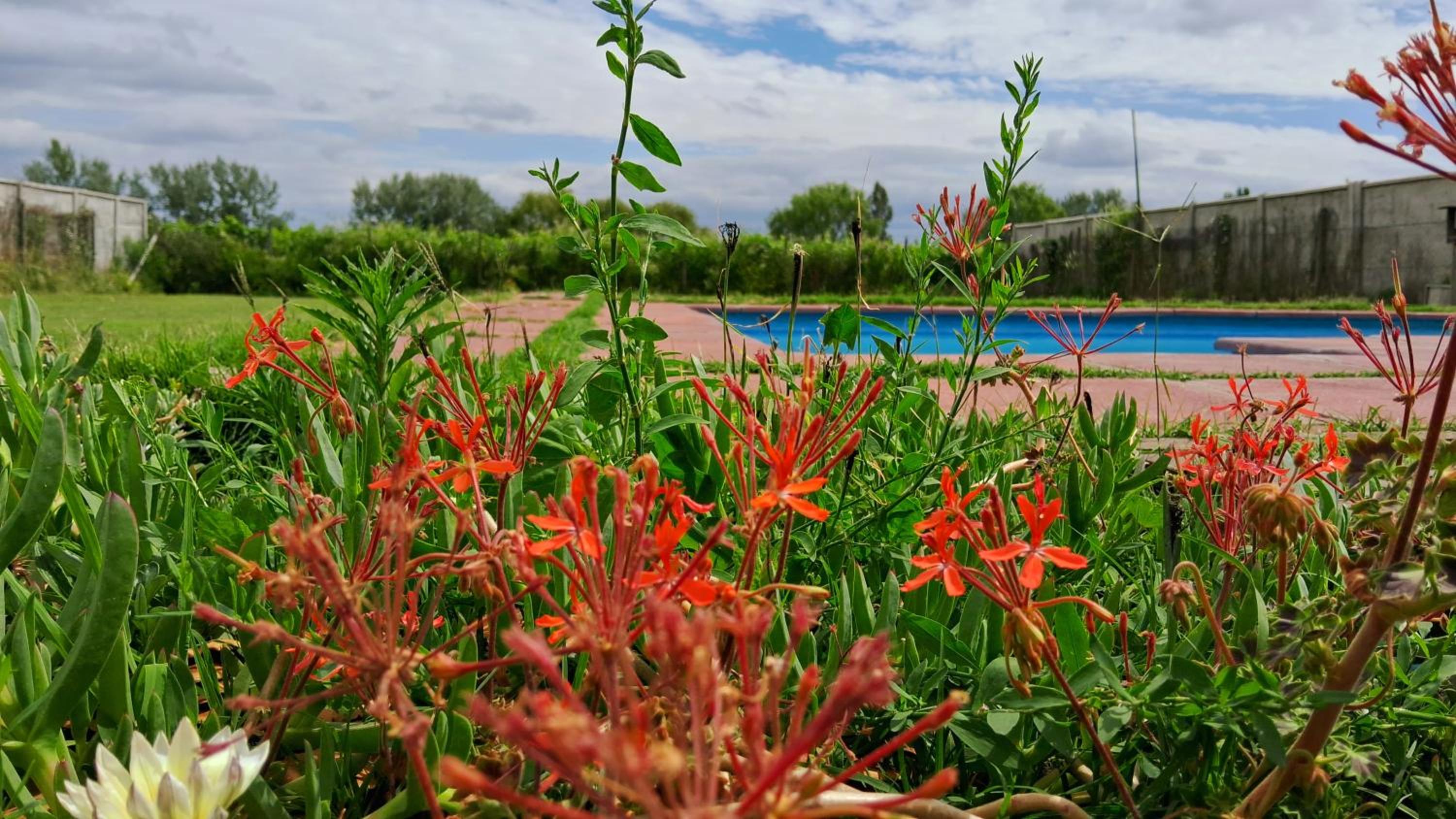 Encantador Loft, entre Viñas, Valles y Piscina Privada