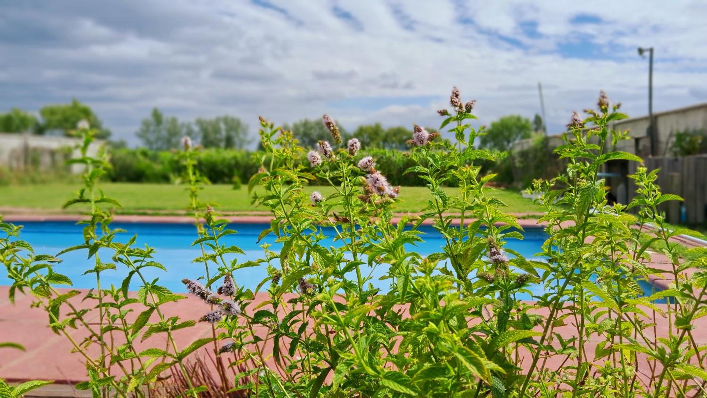 Encantador Loft, entre Viñas, Valles y Piscina Privada