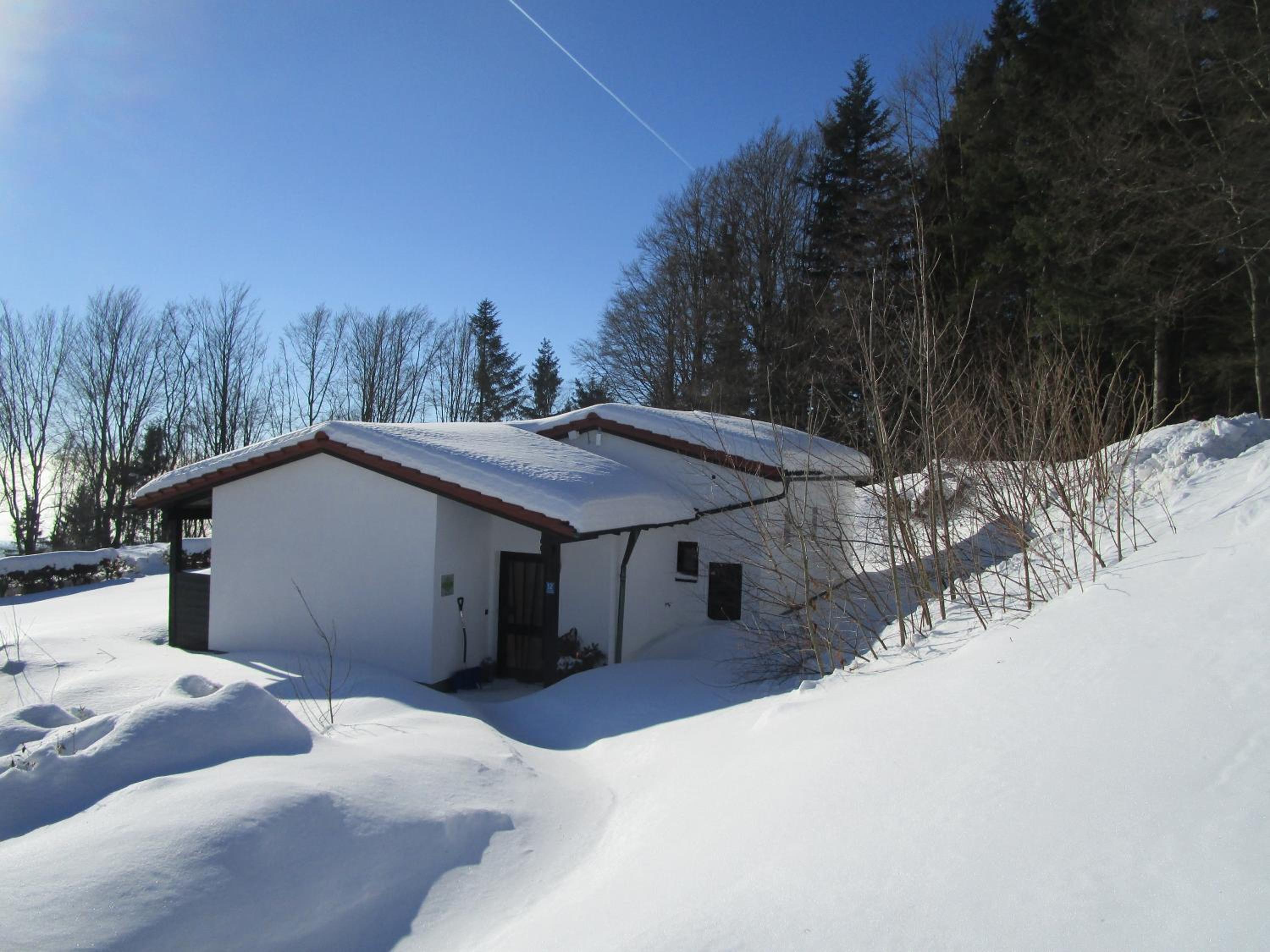 Ferienhaus Waldidyll